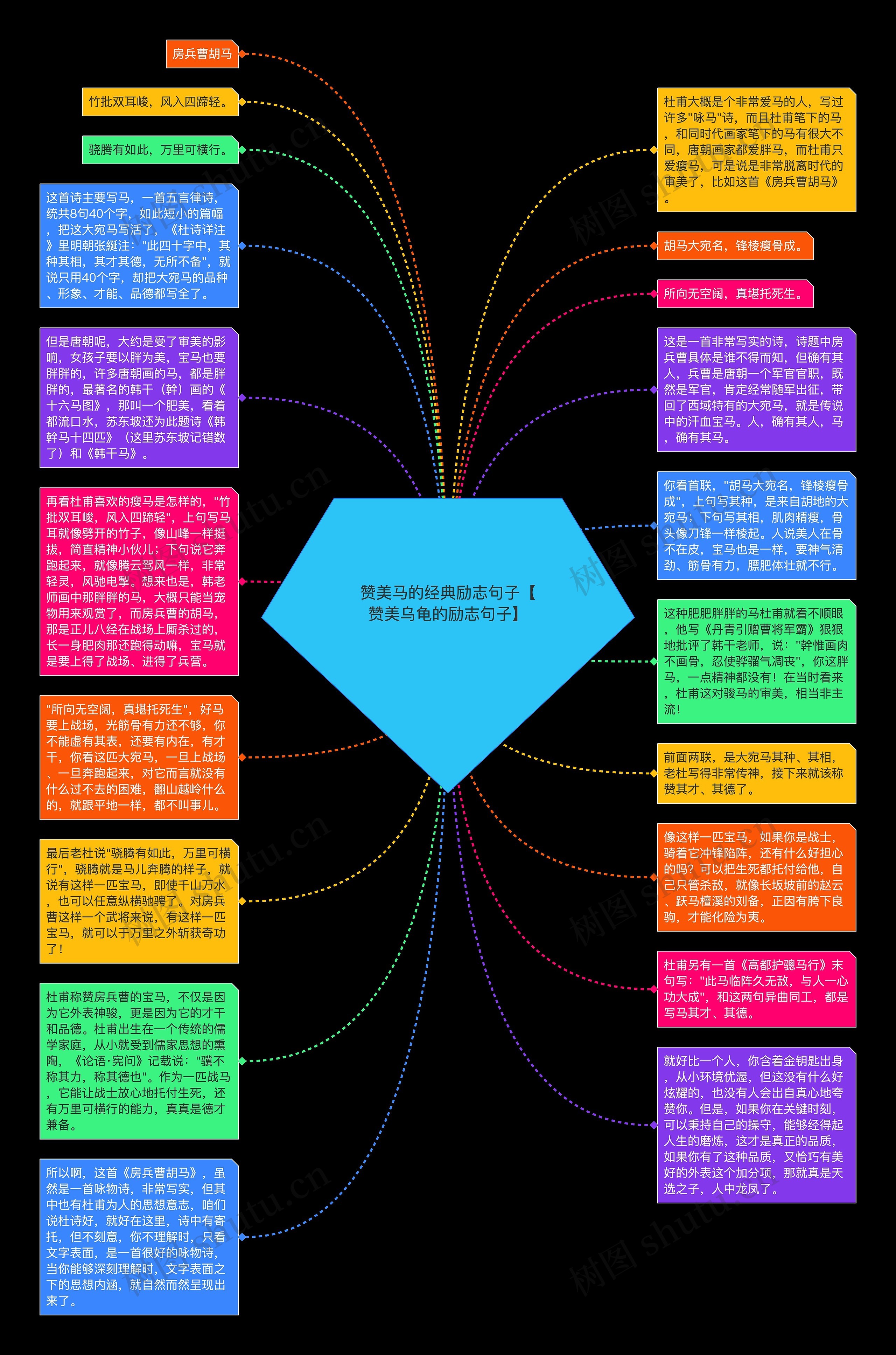 赞美马的经典励志句子【赞美乌龟的励志句子】