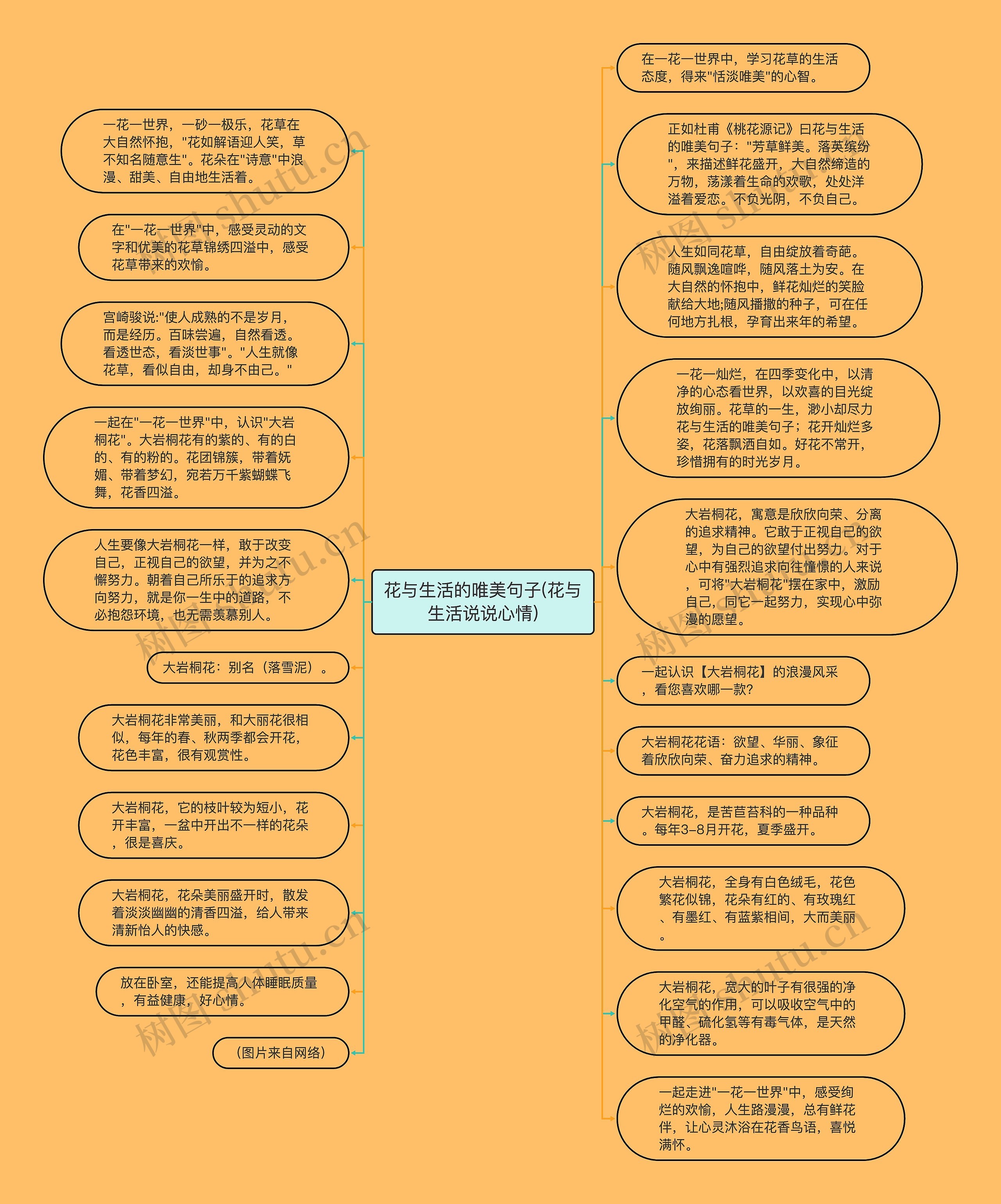 花与生活的唯美句子(花与生活说说心情)思维导图