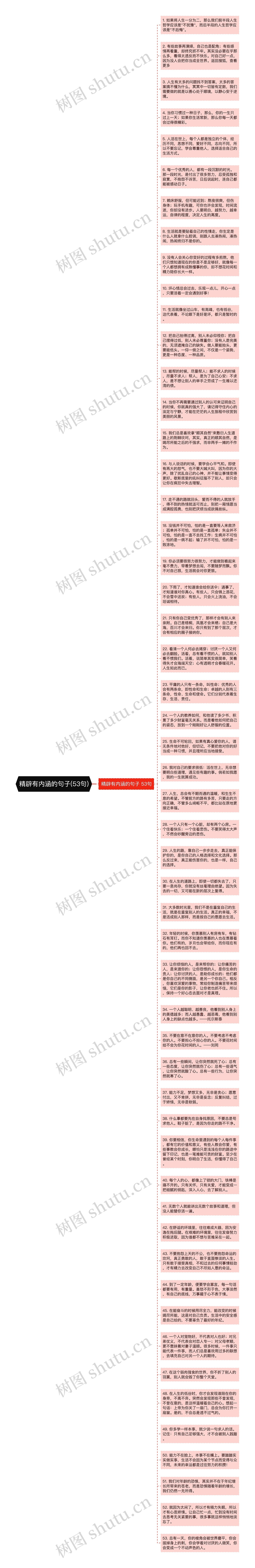 精辟有内涵的句子(53句)思维导图