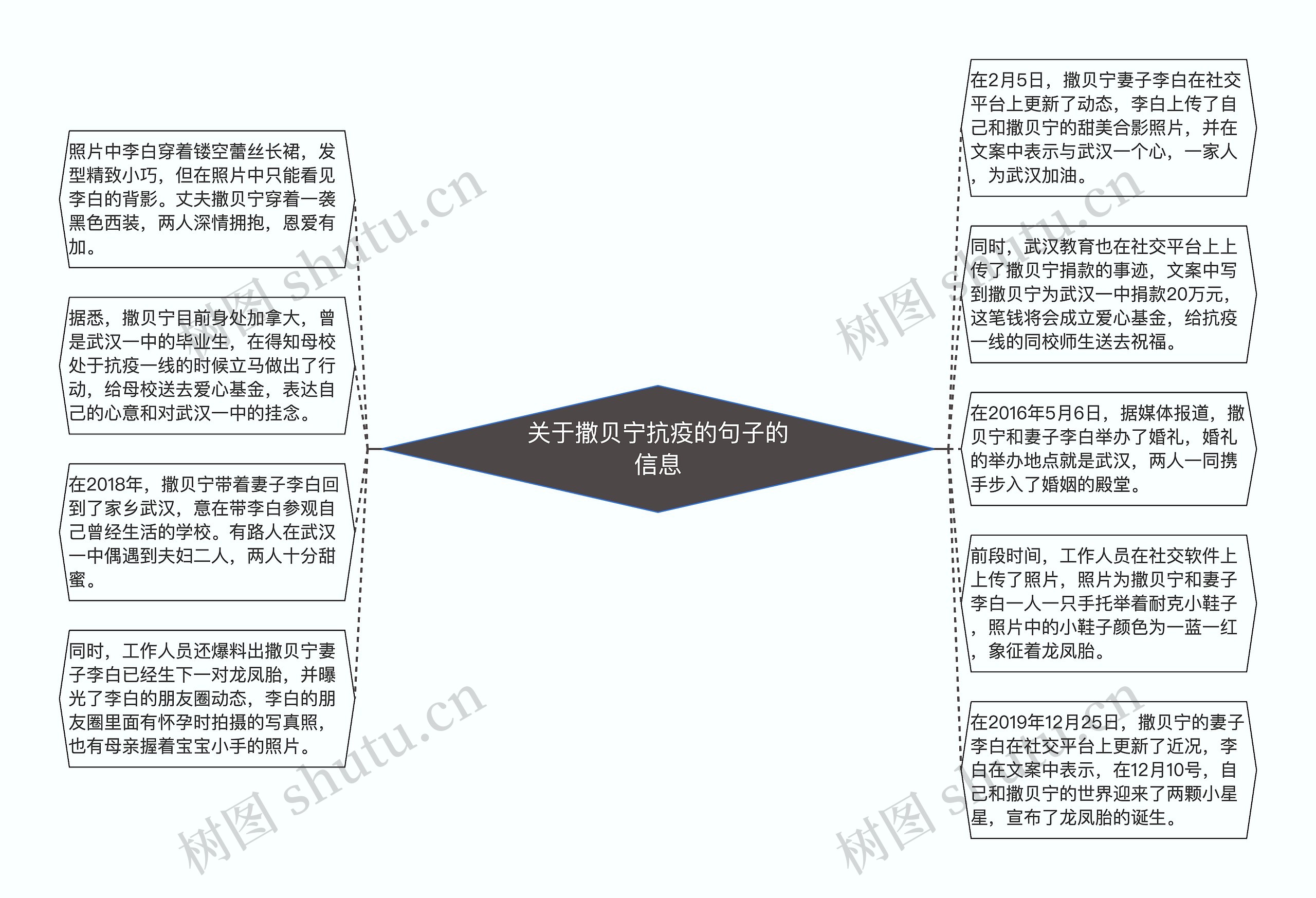 关于撒贝宁抗疫的句子的信息