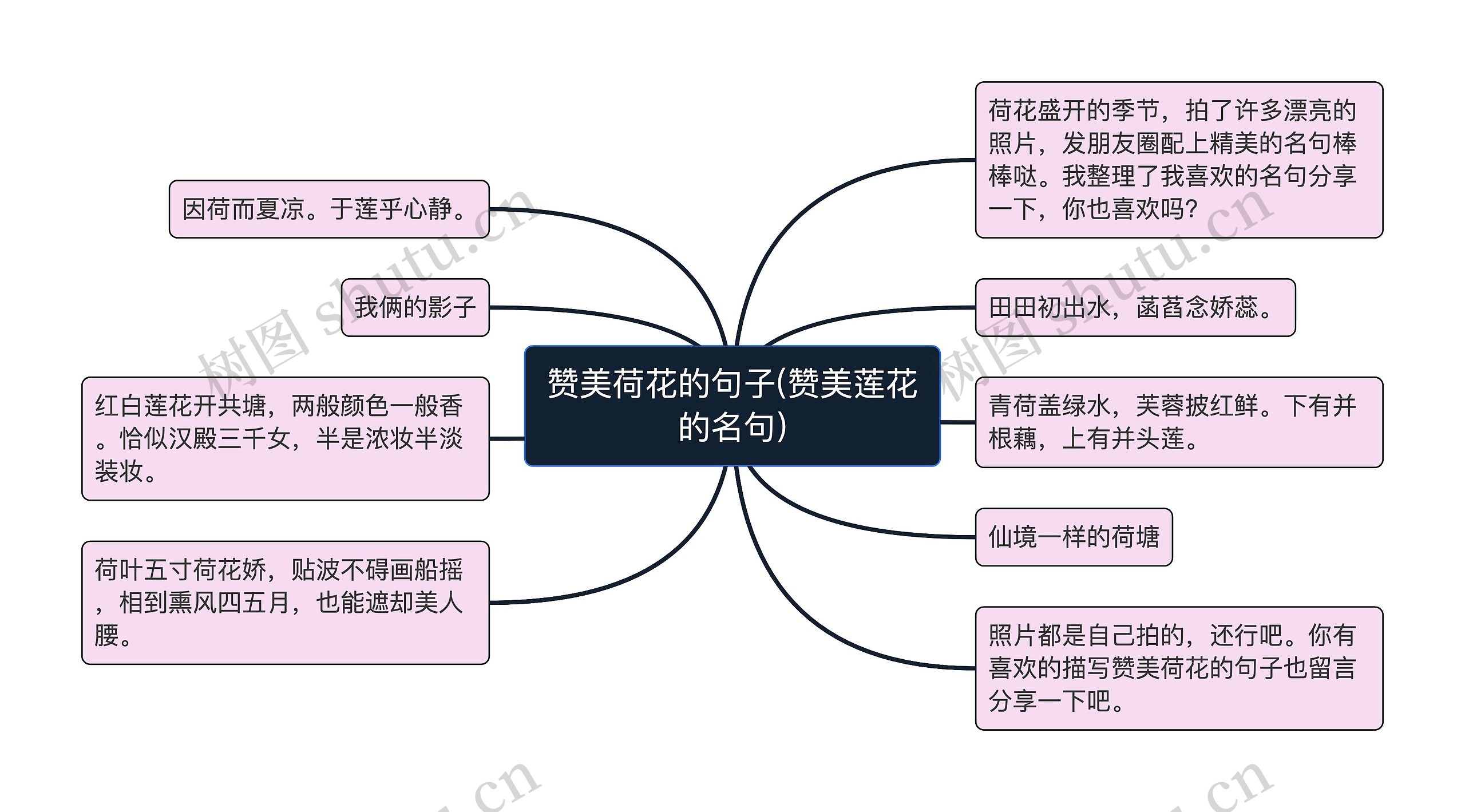 赞美荷花的句子(赞美莲花的名句)思维导图