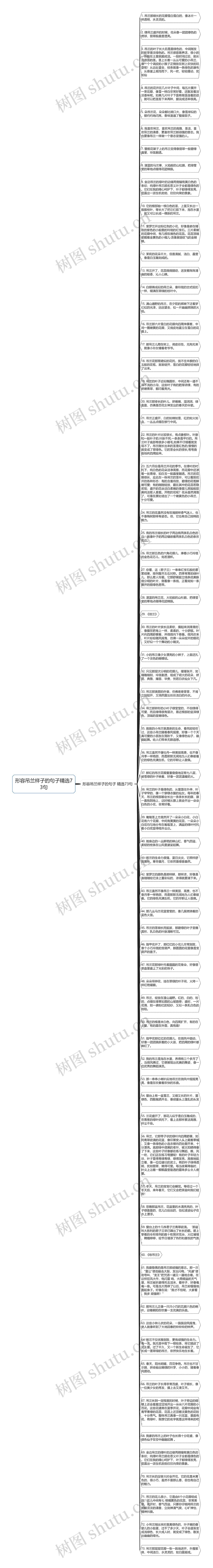 形容吊兰样子的句子精选73句思维导图