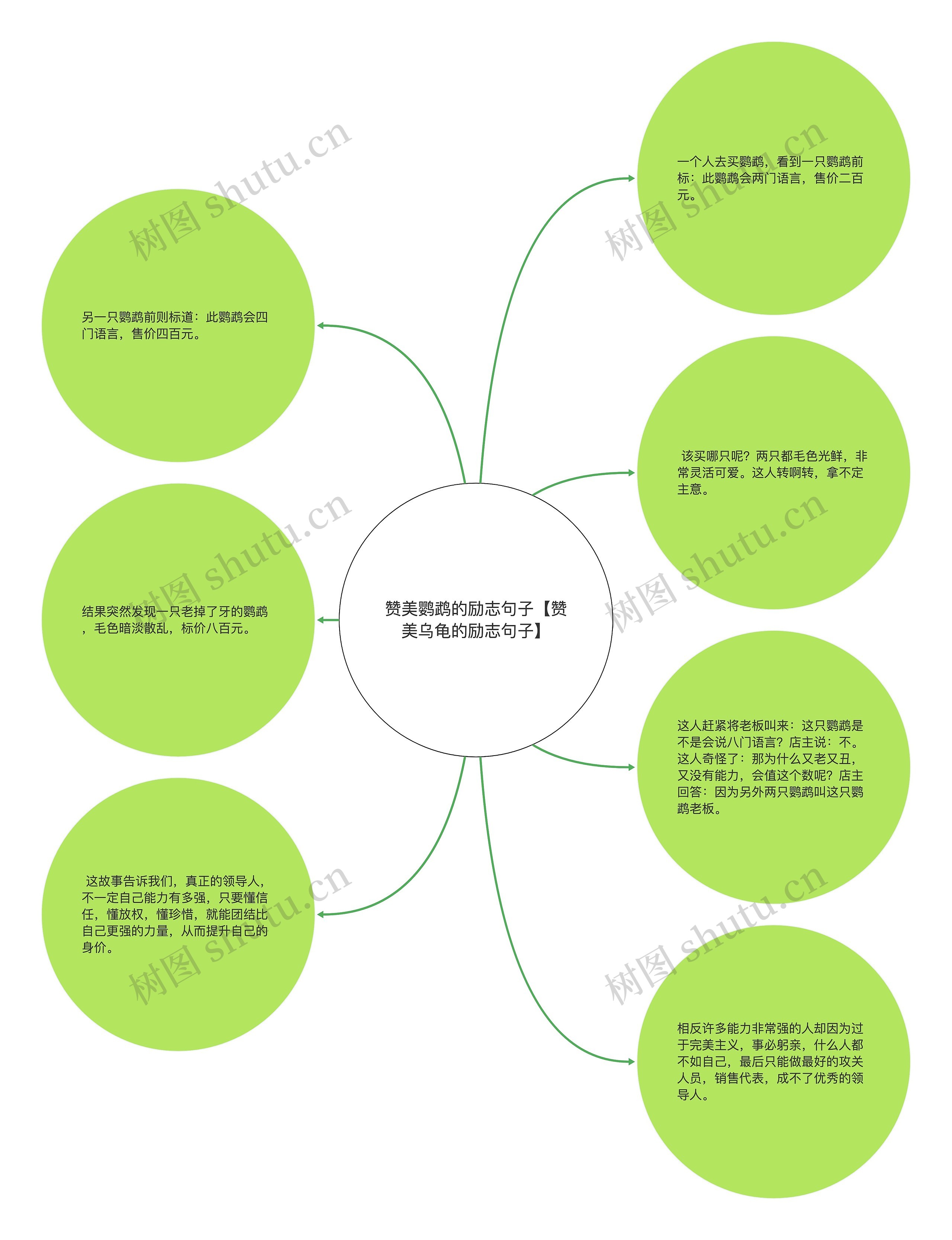 赞美鹦鹉的励志句子【赞美乌龟的励志句子】 赞美鹦鹉的励志句子【赞美乌龟的励志句子】