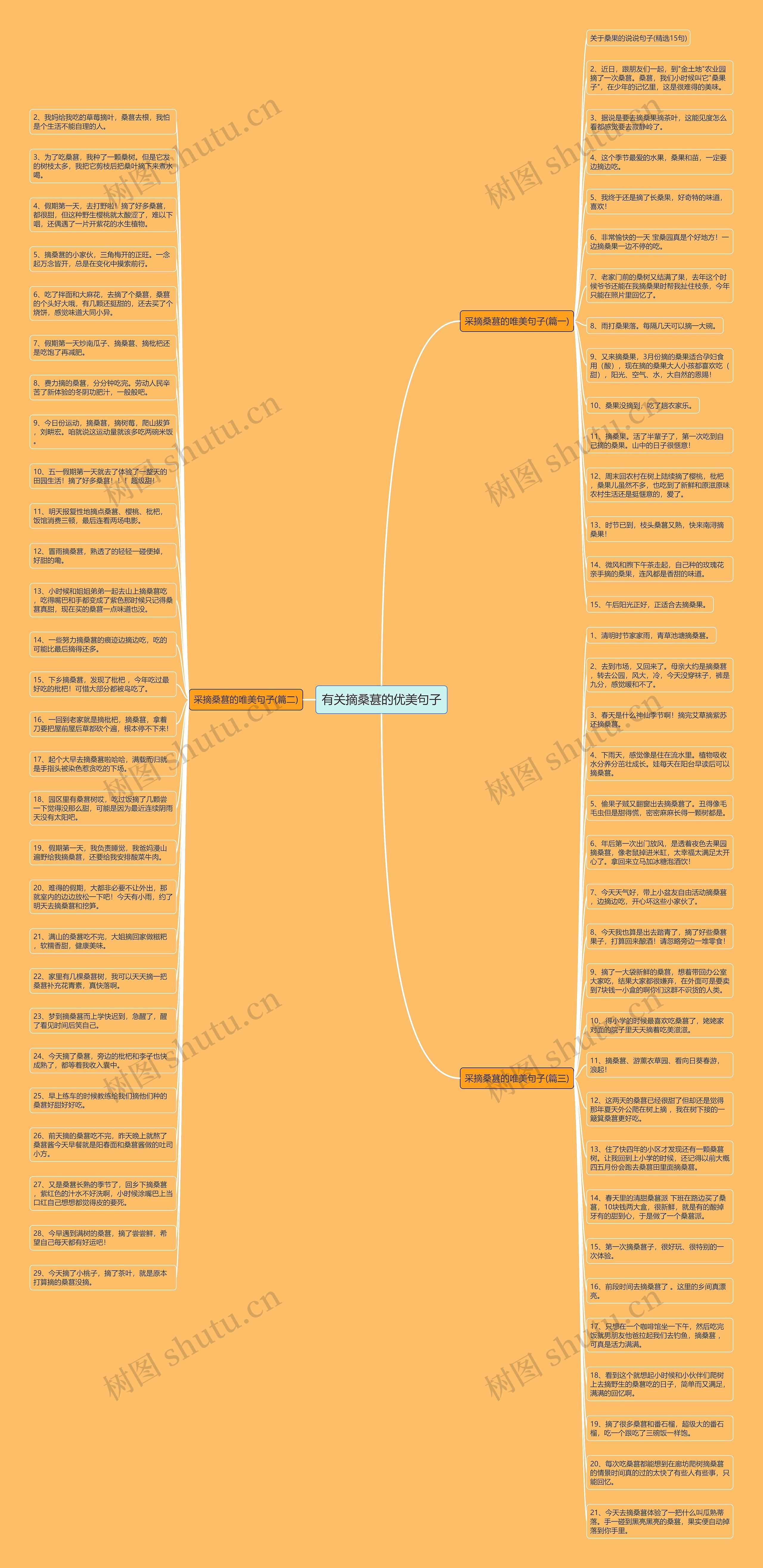 有关摘桑葚的优美句子思维导图