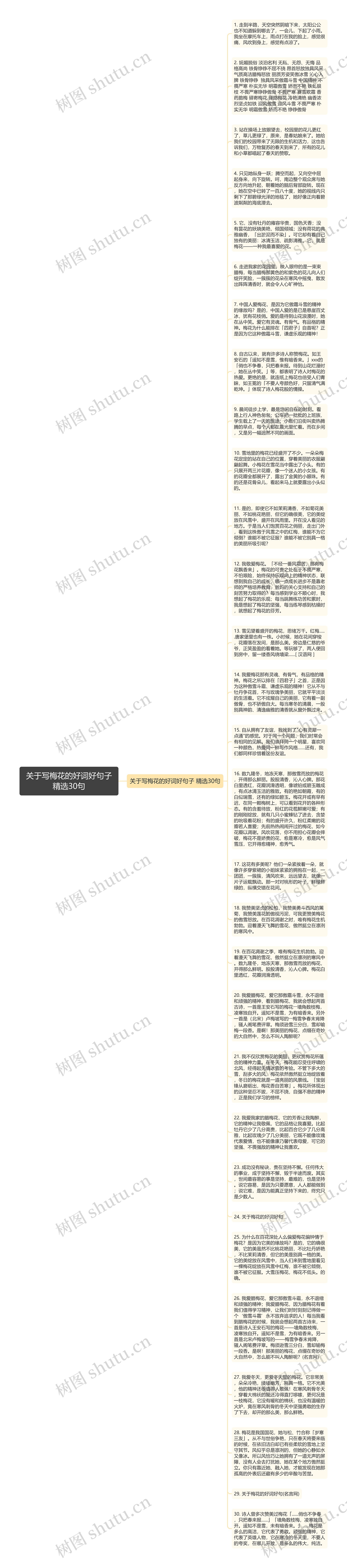 关于写梅花的好词好句子精选30句