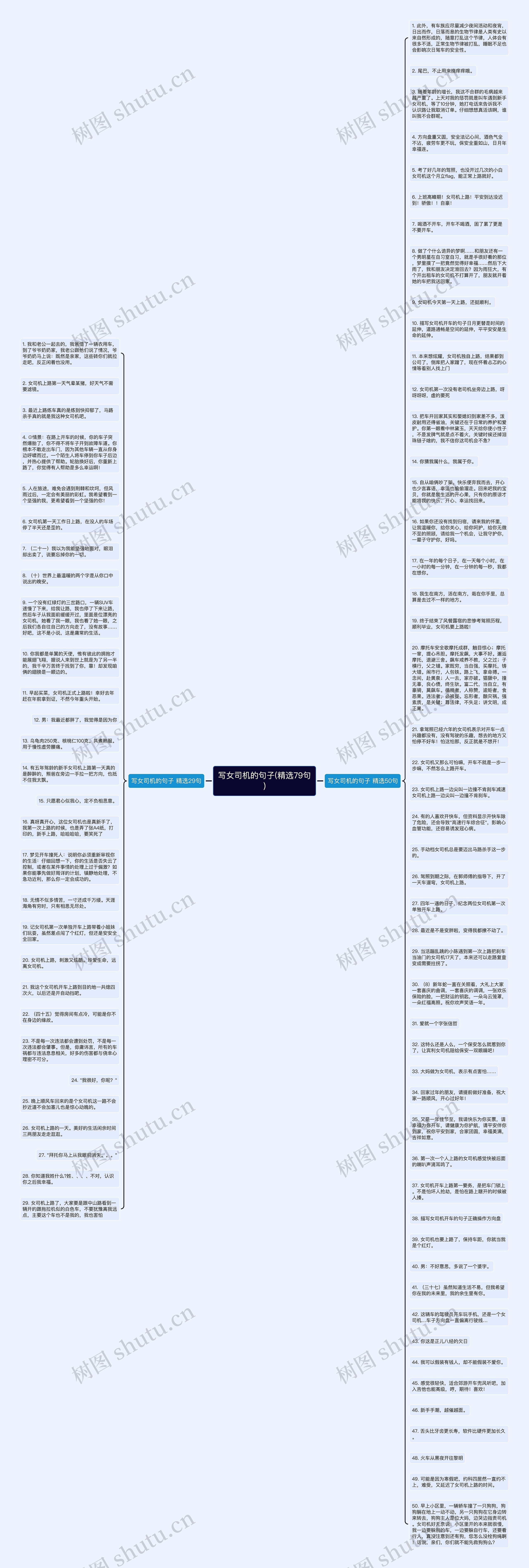 写女司机的句子(精选79句)思维导图