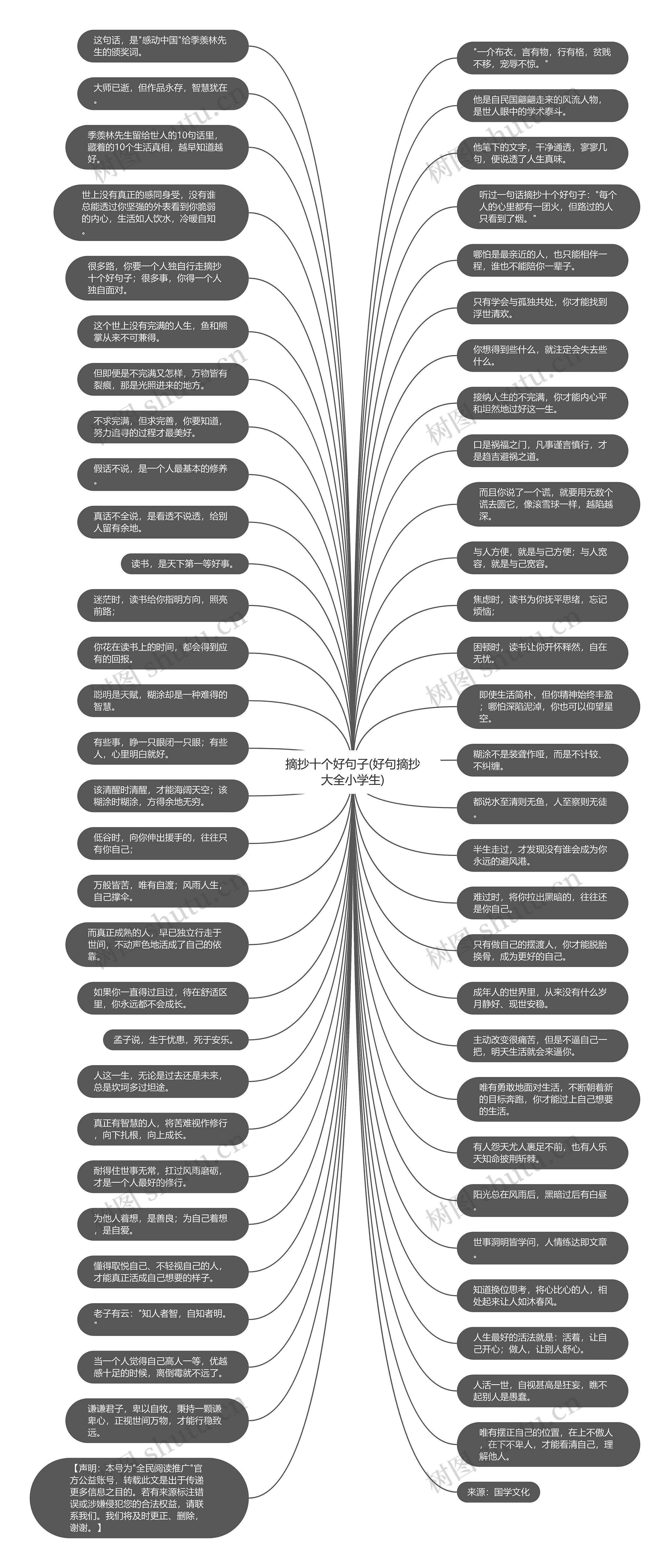 摘抄十个好句子(好句摘抄大全小学生)思维导图
