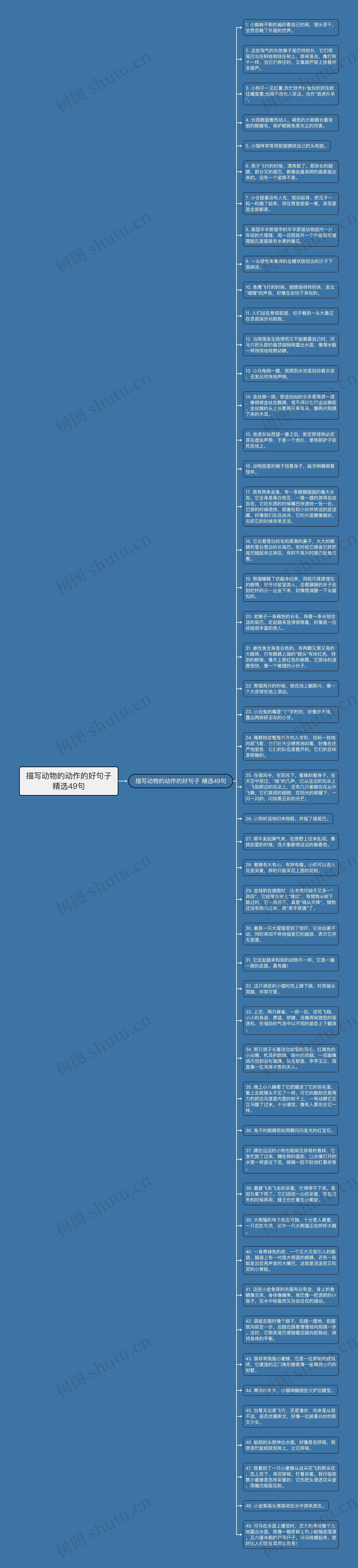 描写动物的动作的好句子精选49句思维导图