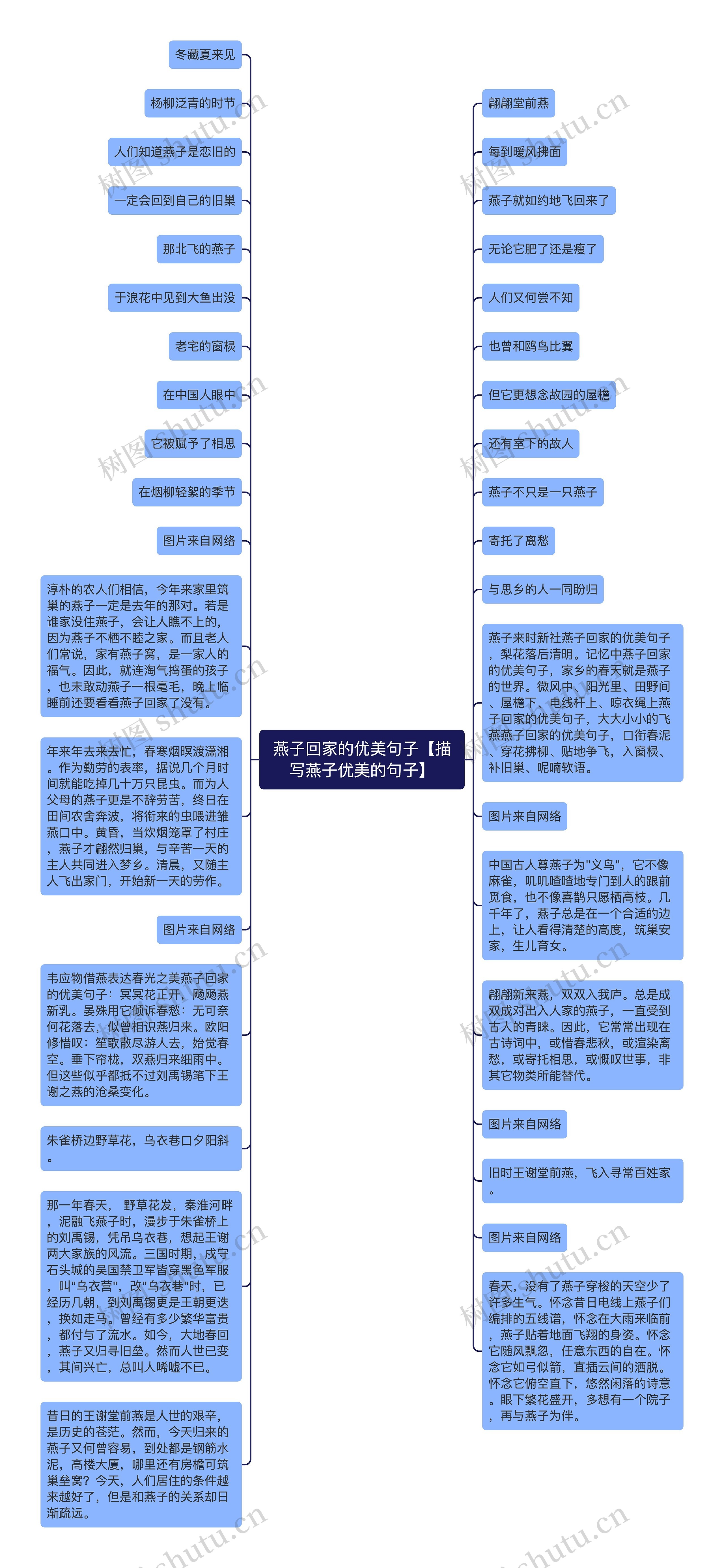 燕子回家的优美句子【描写燕子优美的句子】思维导图