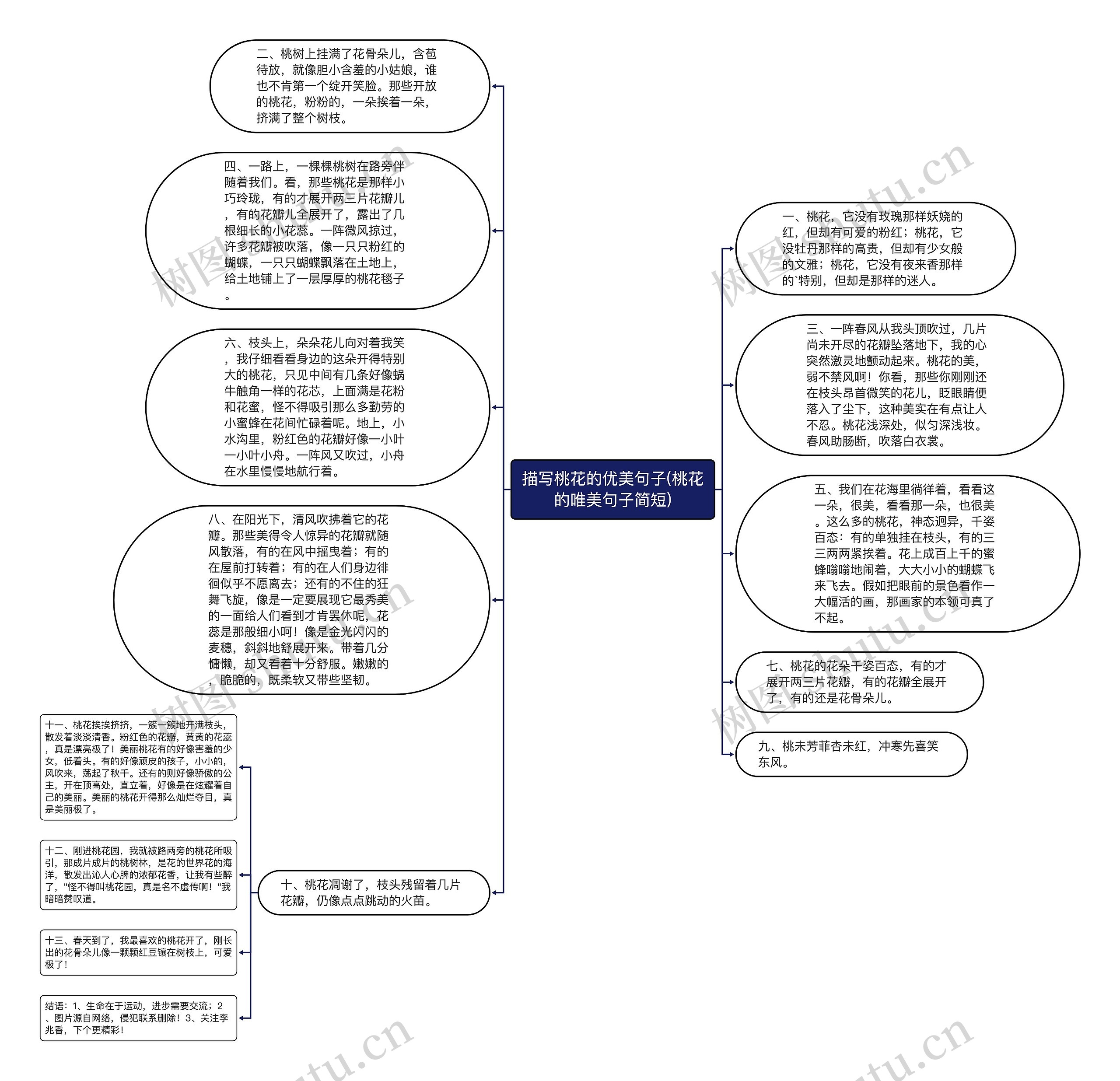 描写桃花的优美句子(桃花的唯美句子简短)思维导图