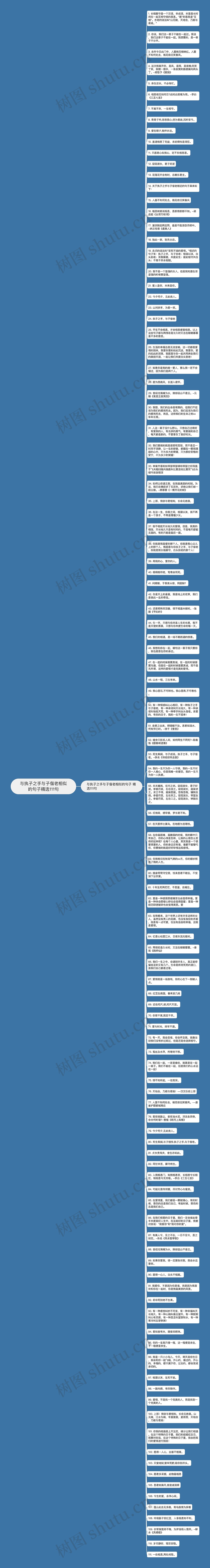 与执子之手与子偕老相似的句子精选111句思维导图