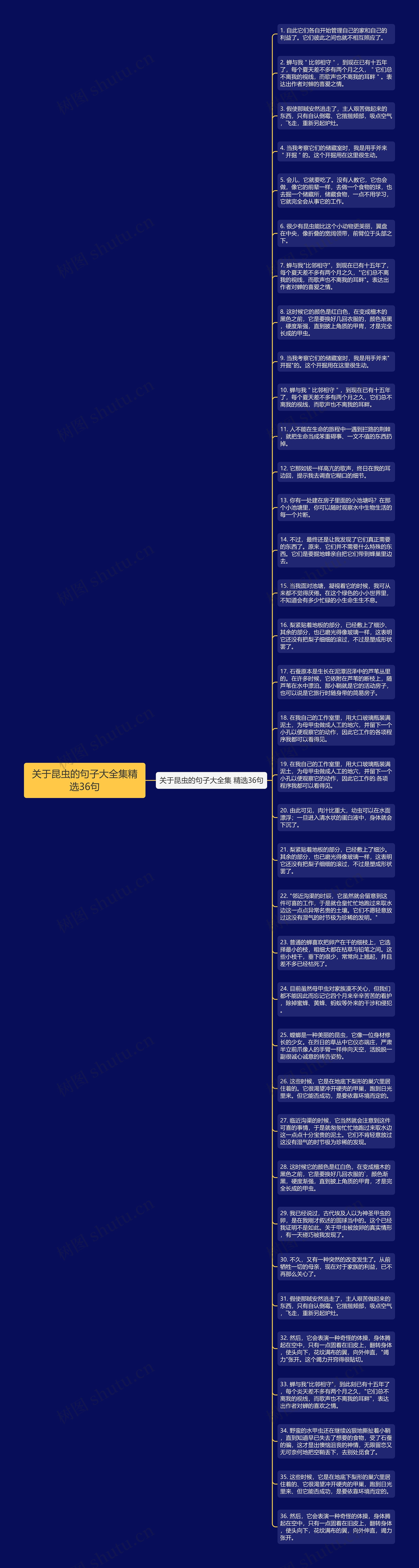 关于昆虫的句子大全集精选36句思维导图