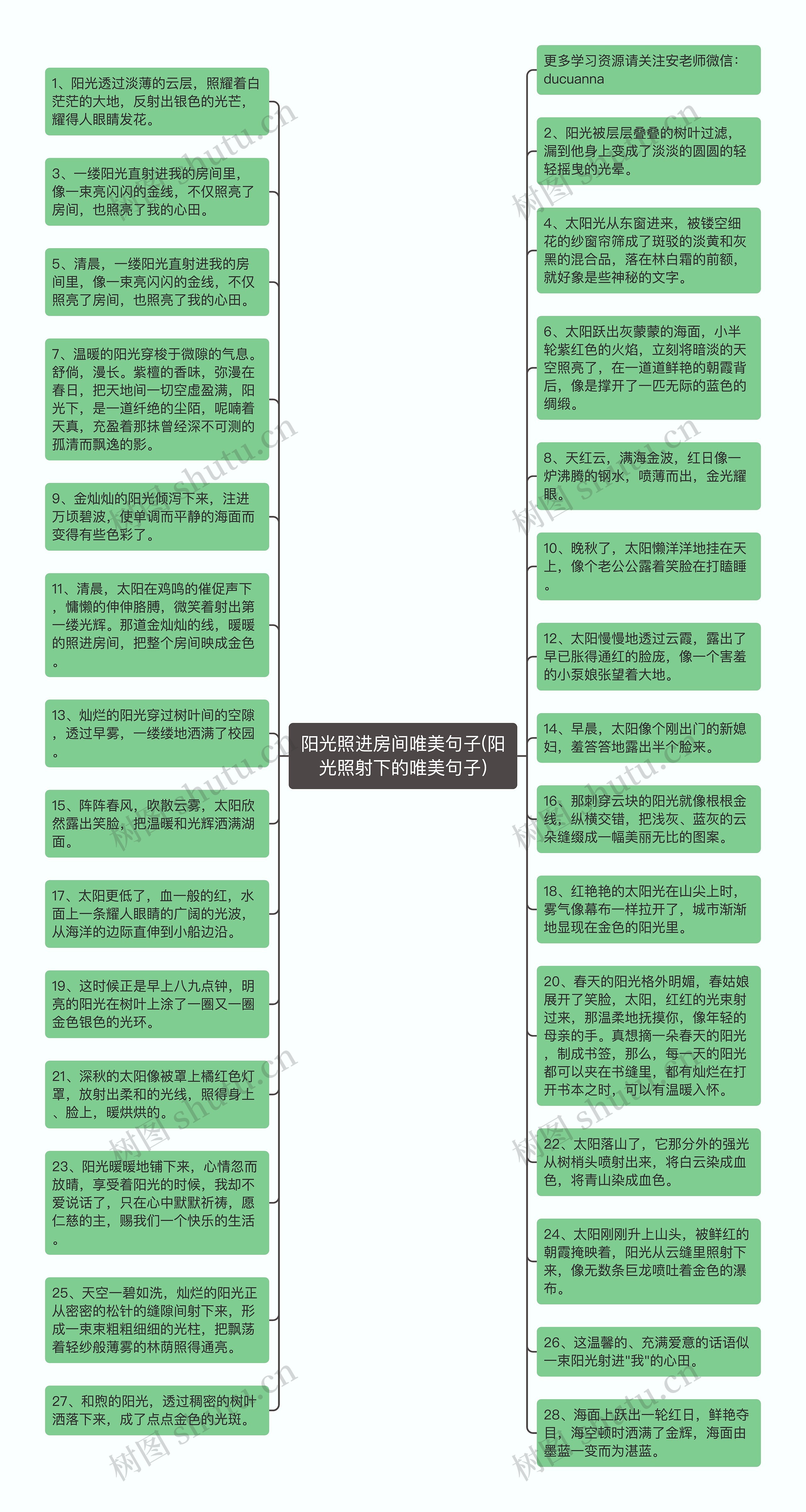 阳光照进房间唯美句子(阳光照射下的唯美句子)