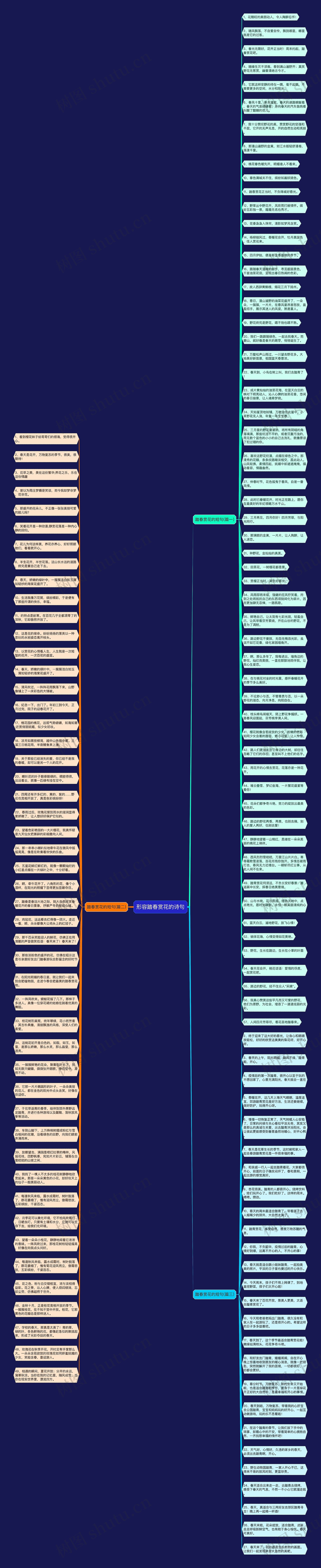 形容踏春赏花的诗句思维导图