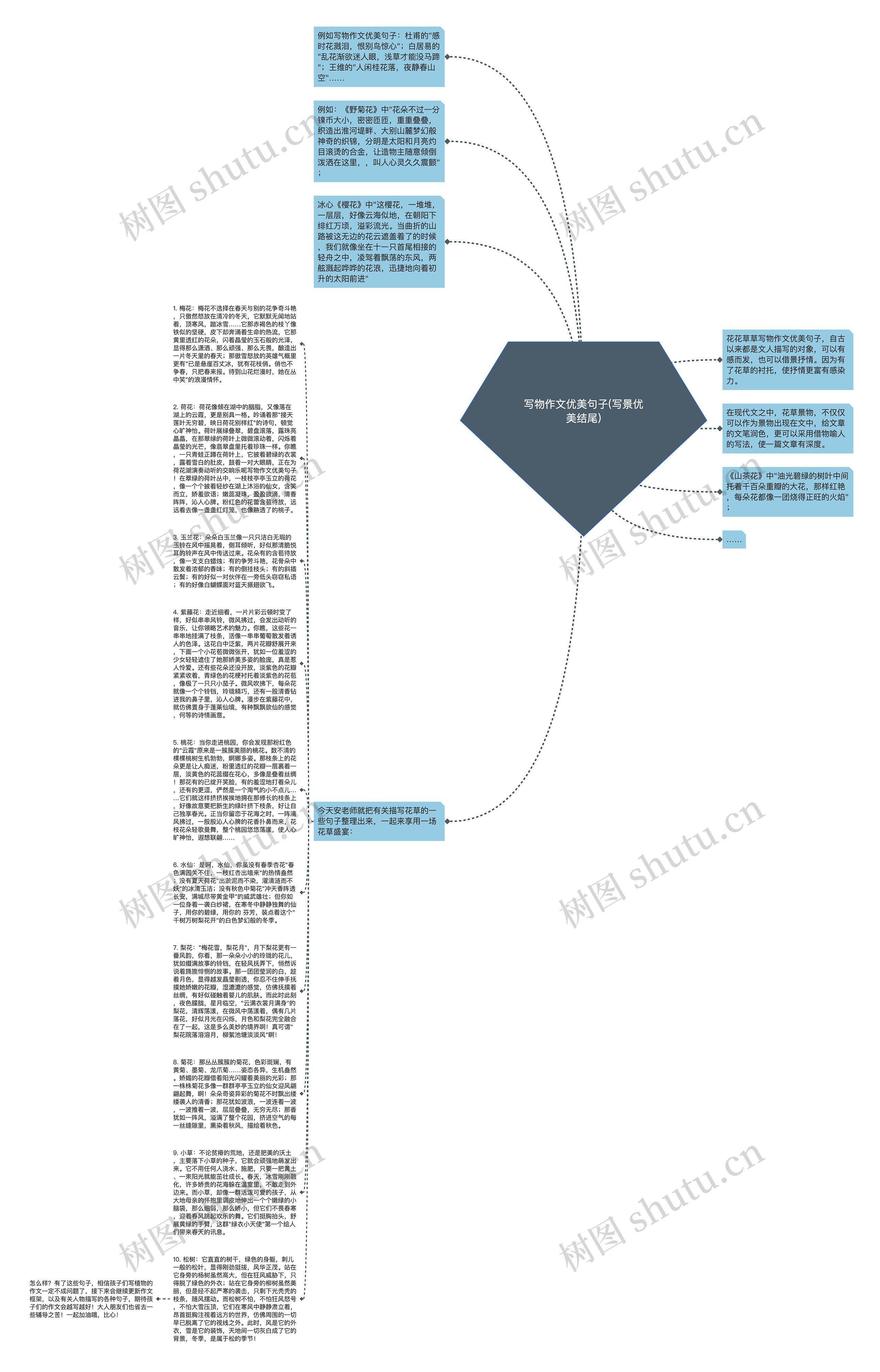 写物作文优美句子(写景优美结尾)思维导图