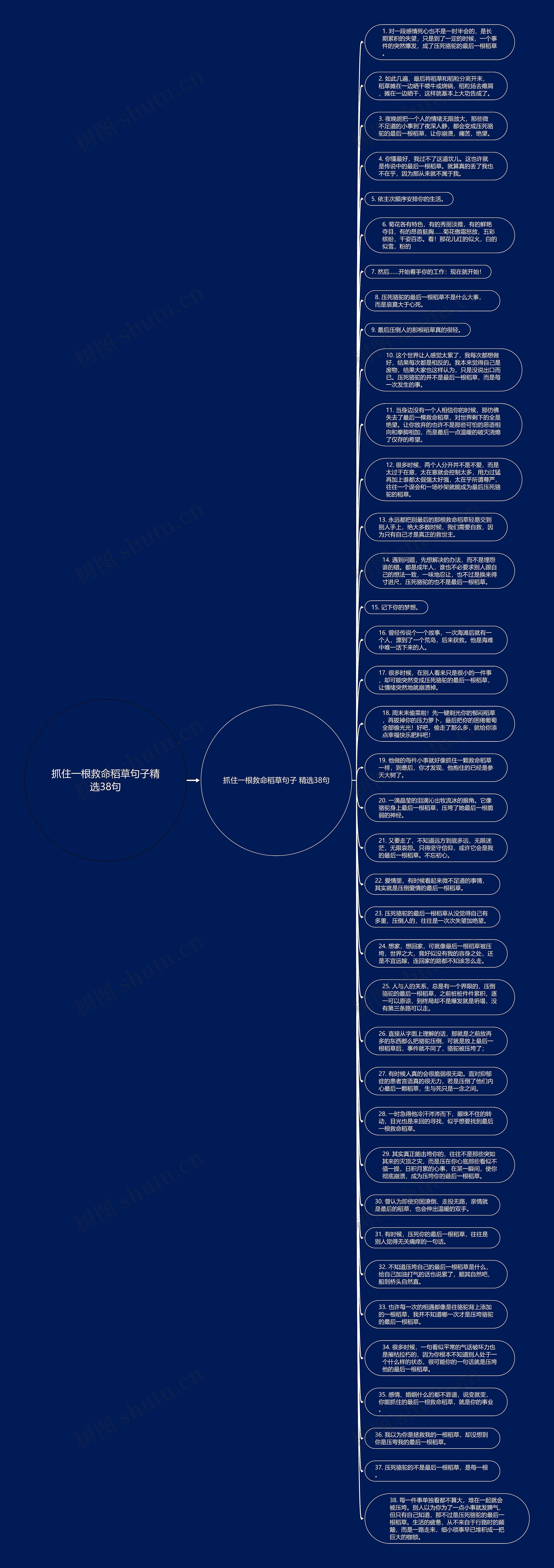 抓住一根救命稻草句子精选38句