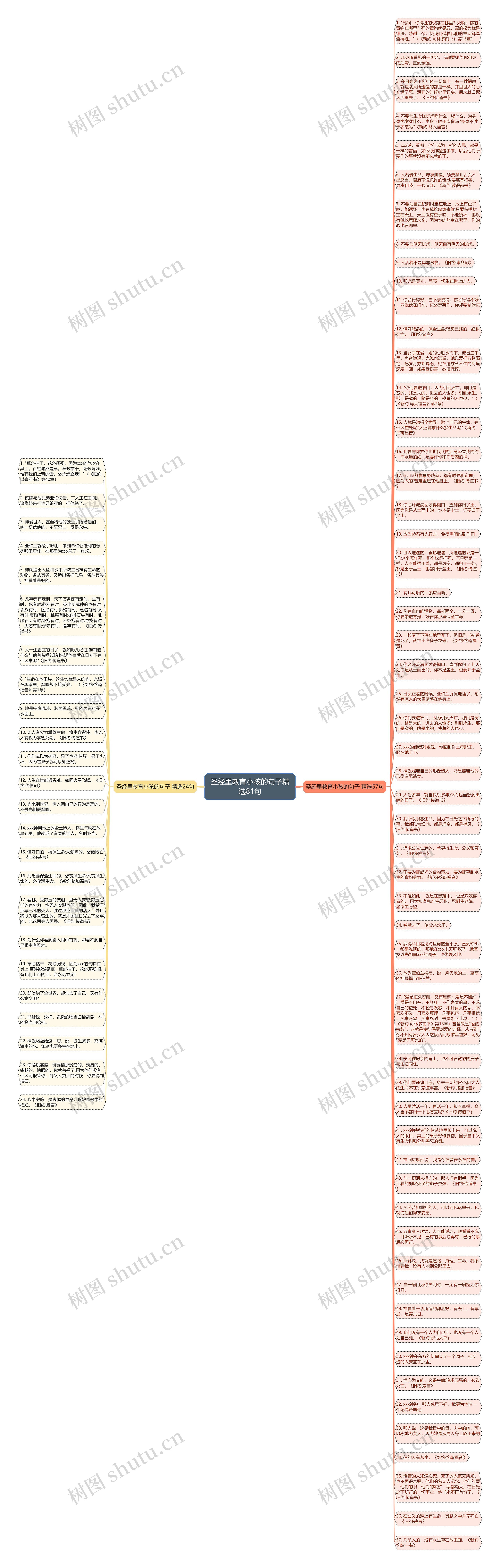 圣经里教育小孩的句子精选81句思维导图