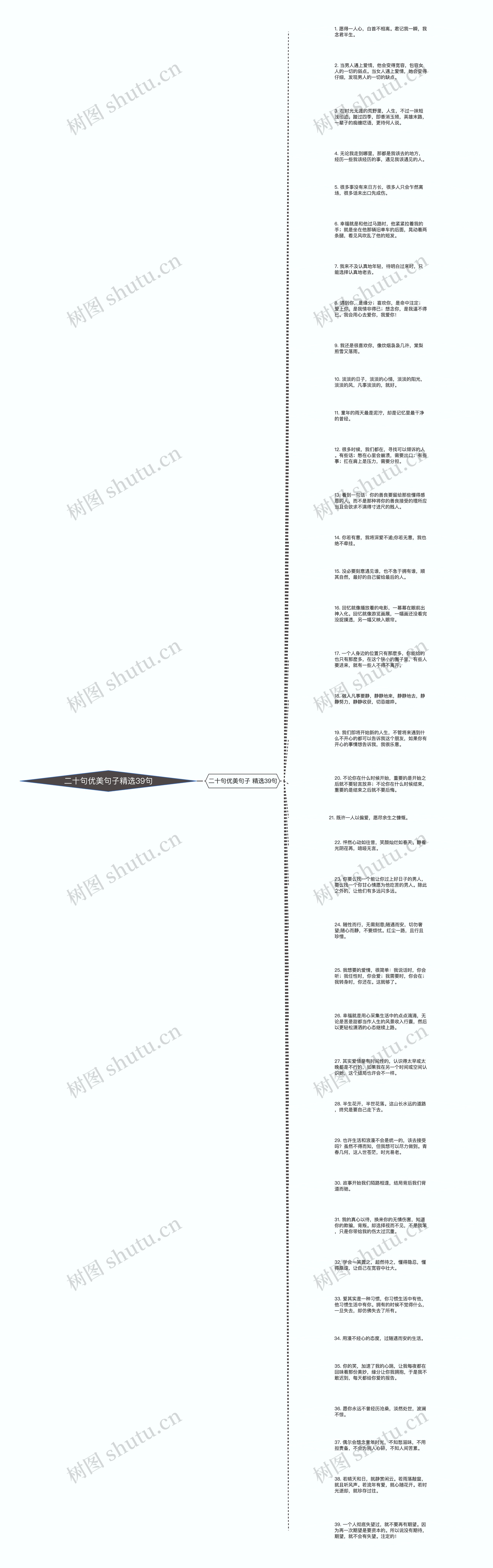 二十句优美句子精选39句思维导图