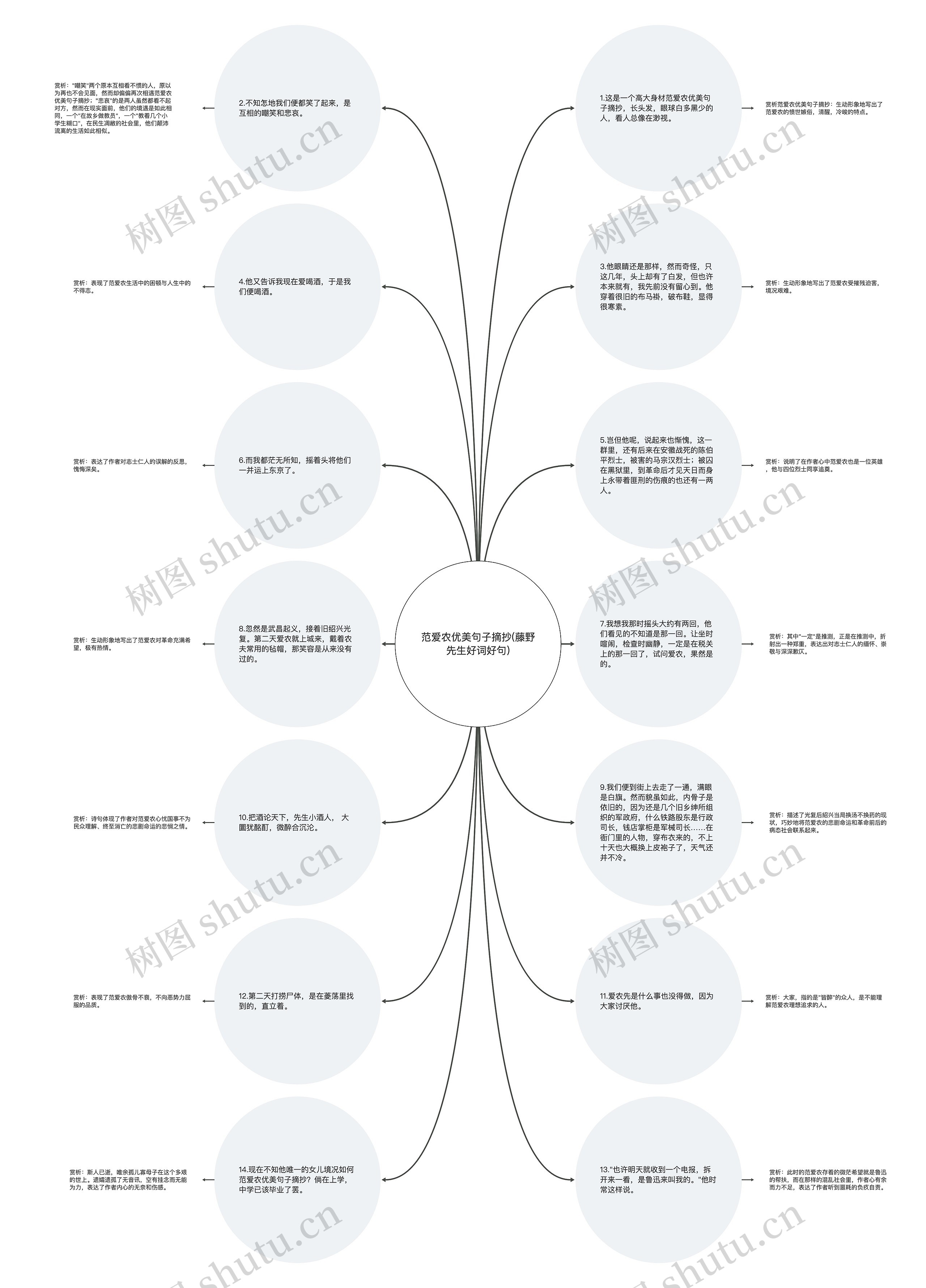 范爱农优美句子摘抄(藤野先生好词好句)思维导图