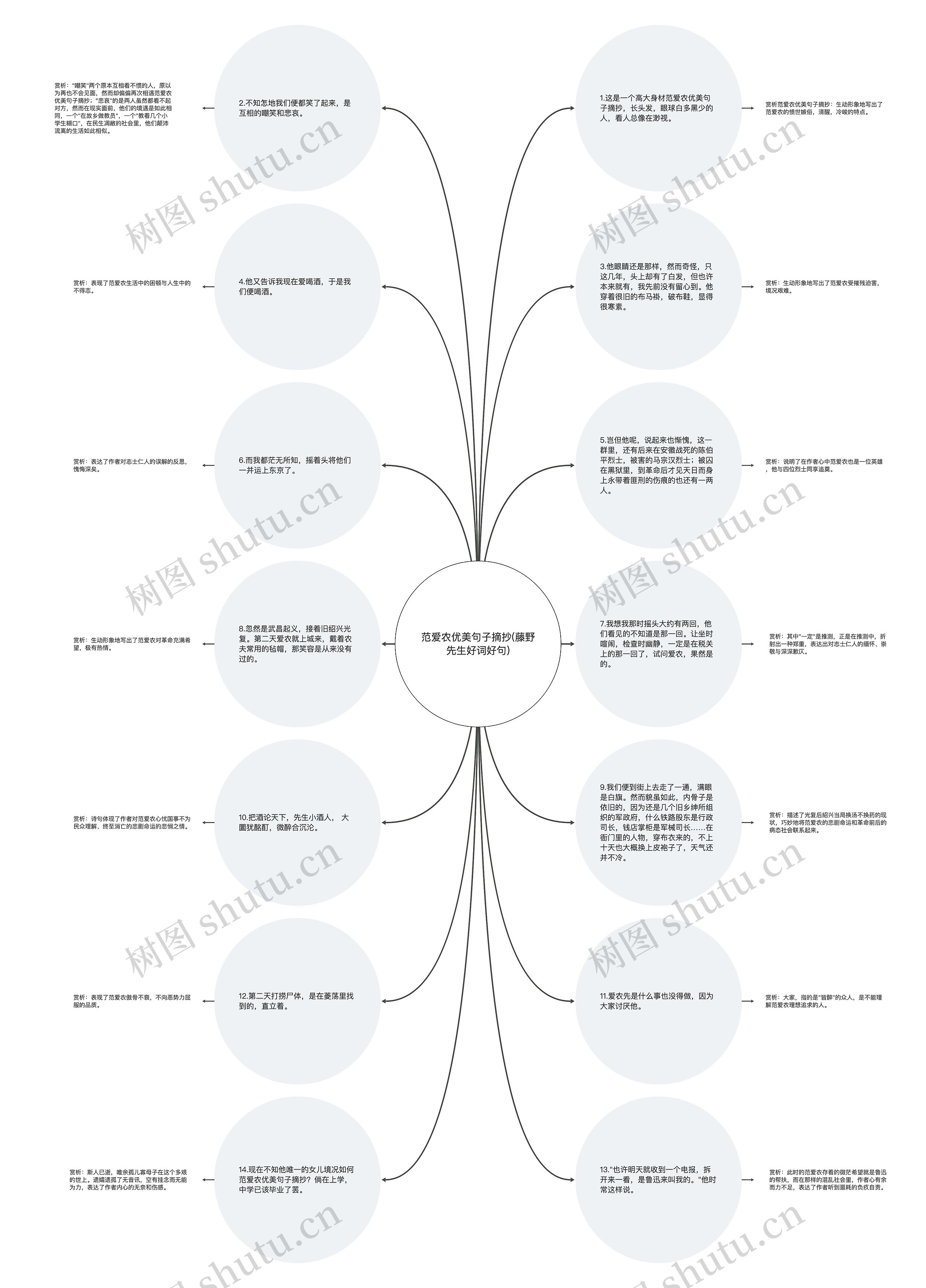 范爱农优美句子摘抄(藤野先生好词好句)思维导图高清图 范爱农优美句子摘抄(藤野先生好词好句)思维导图
