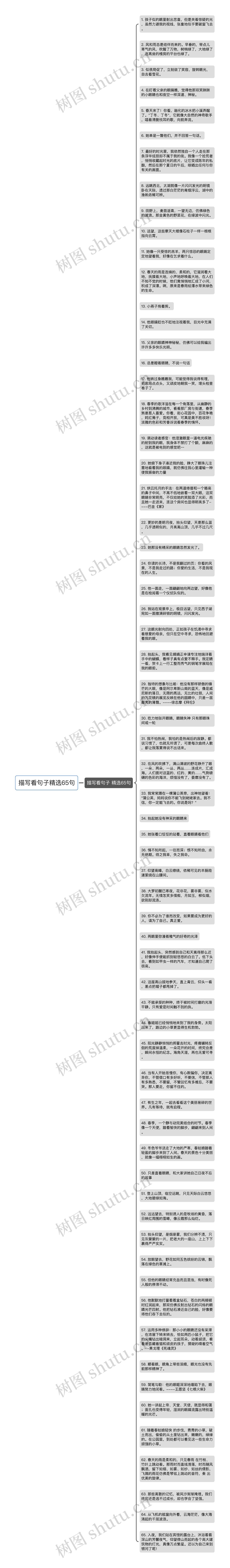 描写看句子精选65句思维导图