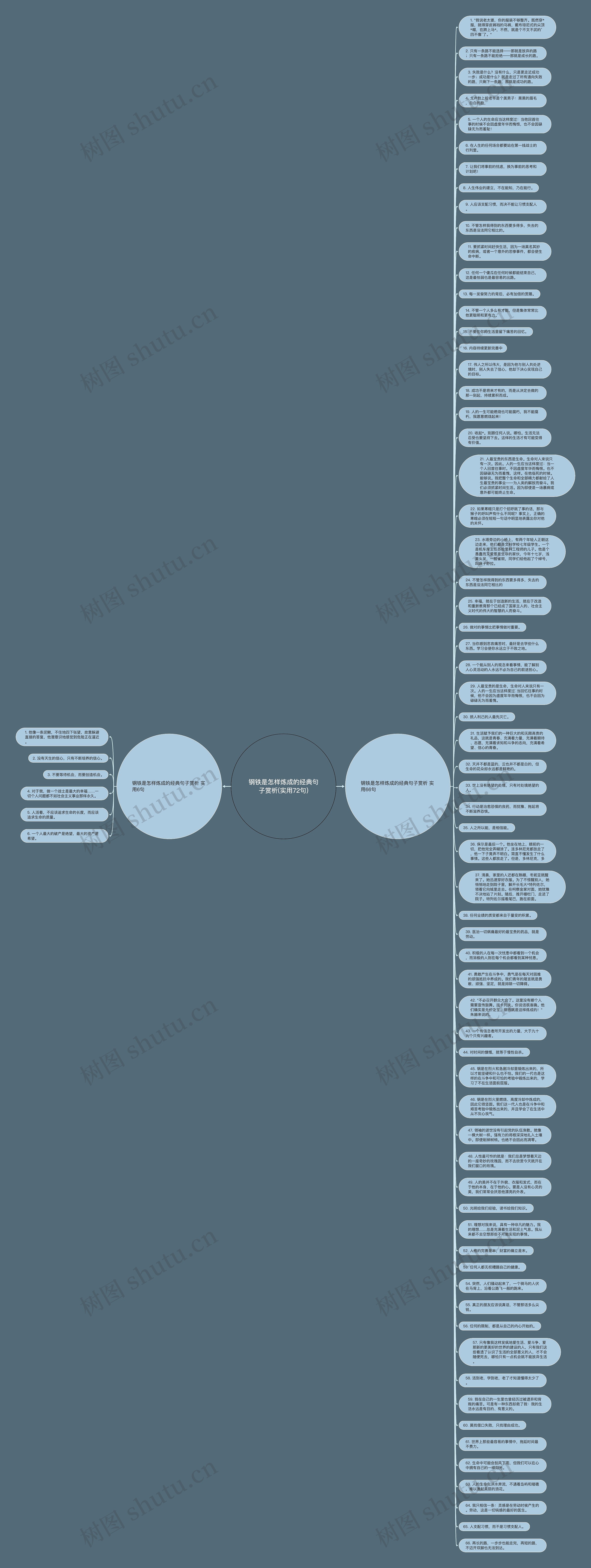 钢铁是怎样炼成的经典句子赏析(实用72句)思维导图