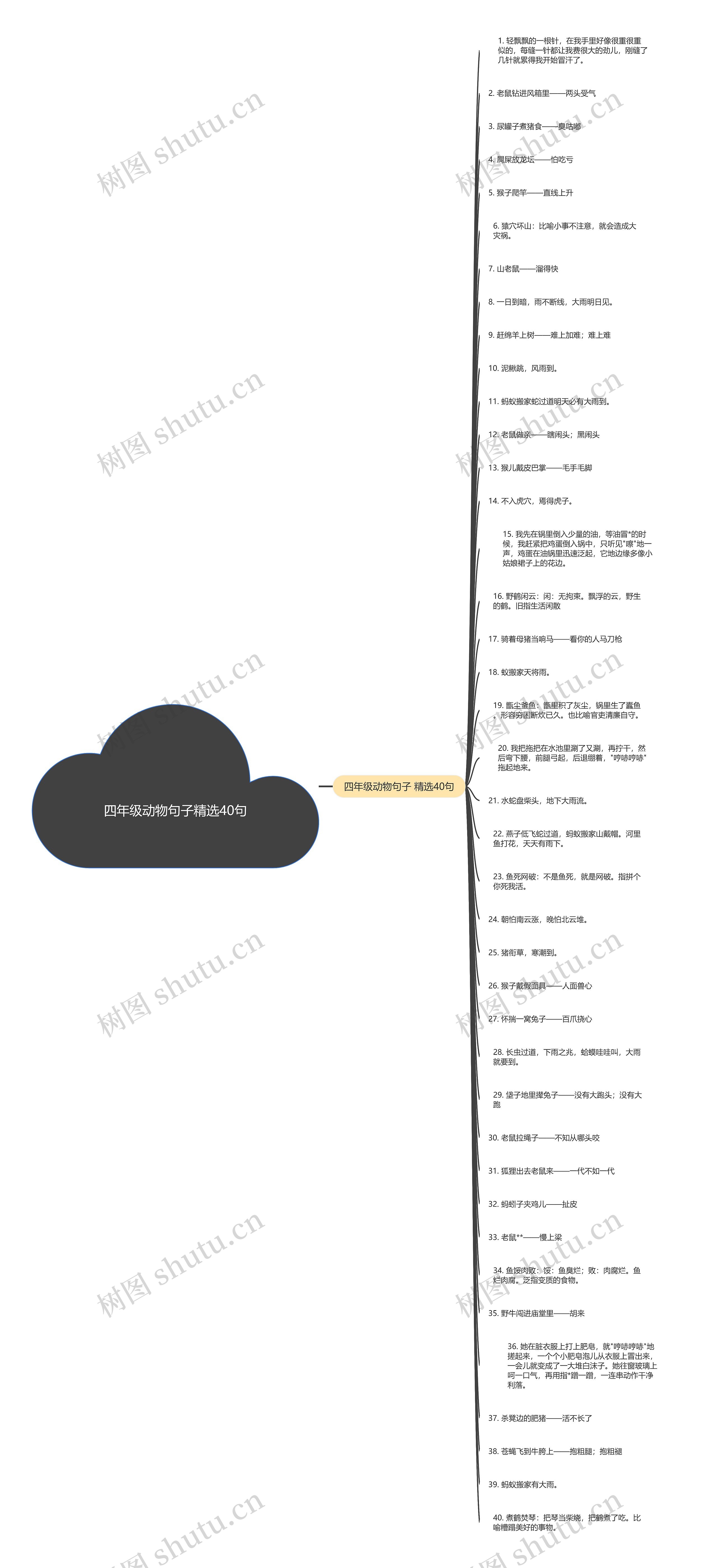 四年级动物句子精选40句思维导图