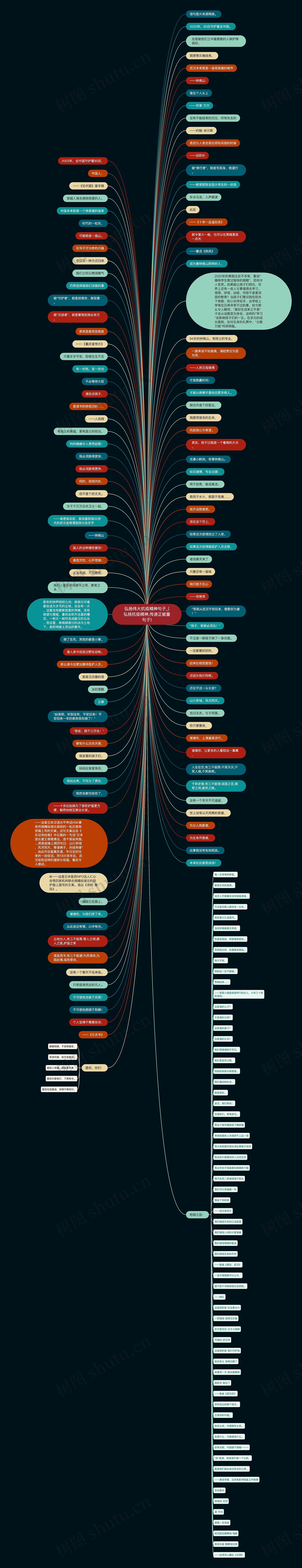 弘扬伟大抗疫精神句子_(弘扬抗疫精神,传递正能量句子)思维导图