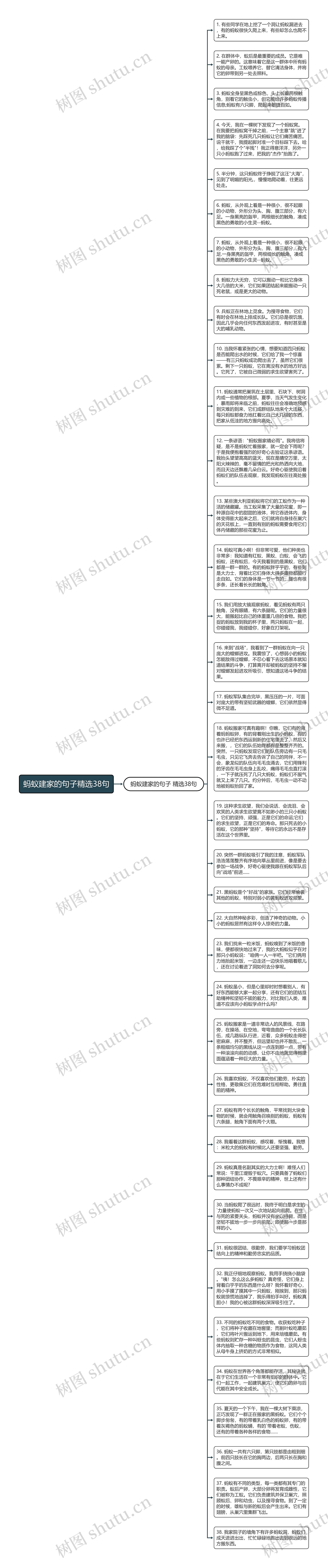 蚂蚁建家的句子精选38句