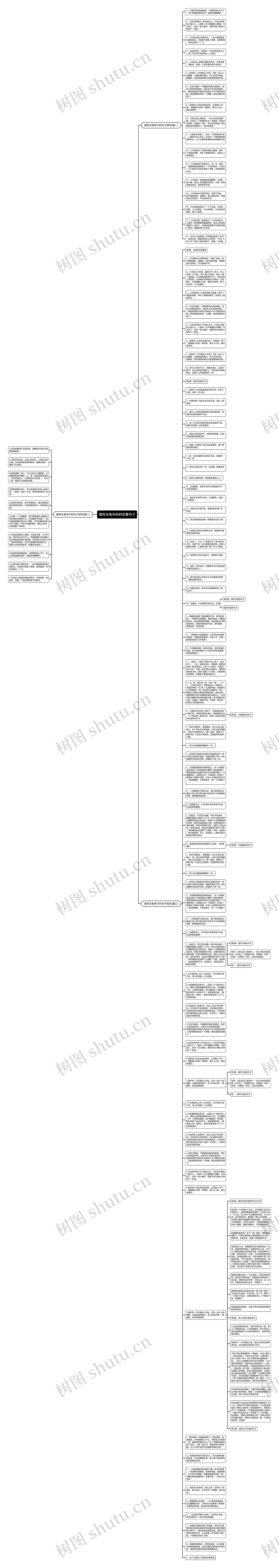 描写乌龟外形的优美句子思维导图