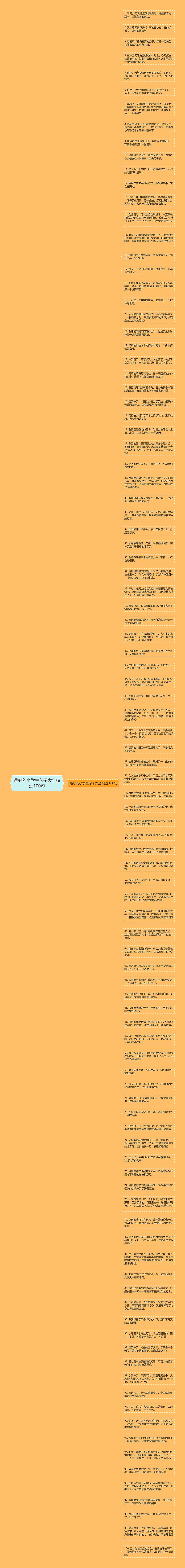 最好的小学生句子大全精选100句思维导图