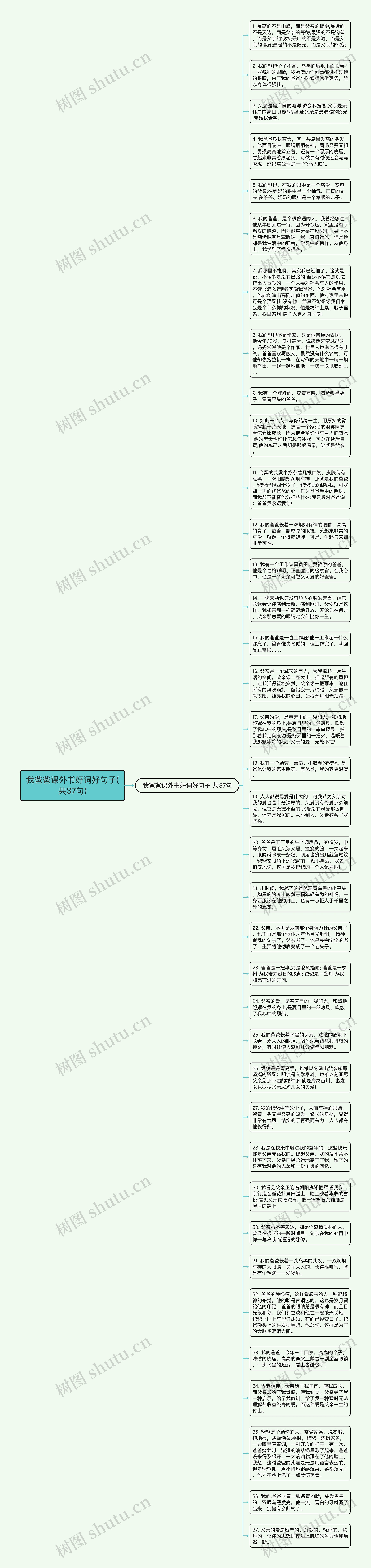 我爸爸课外书好词好句子(共37句)思维导图