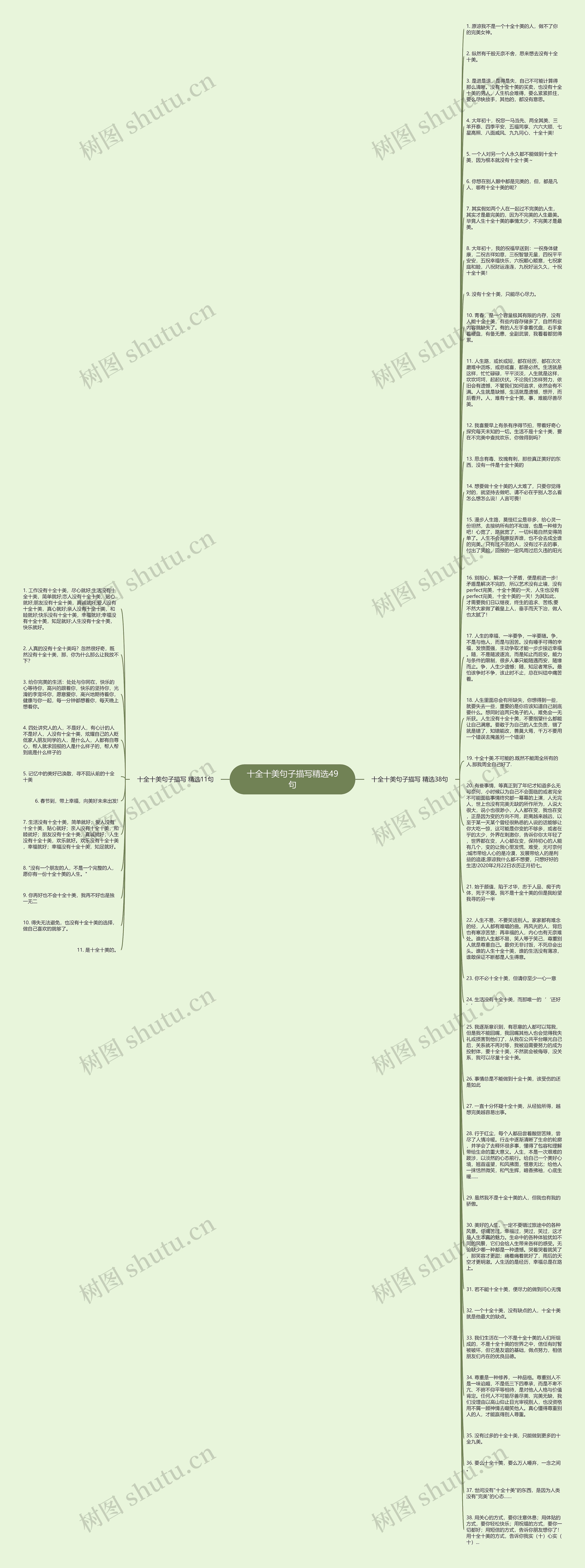 十全十美句子描写精选49句思维导图