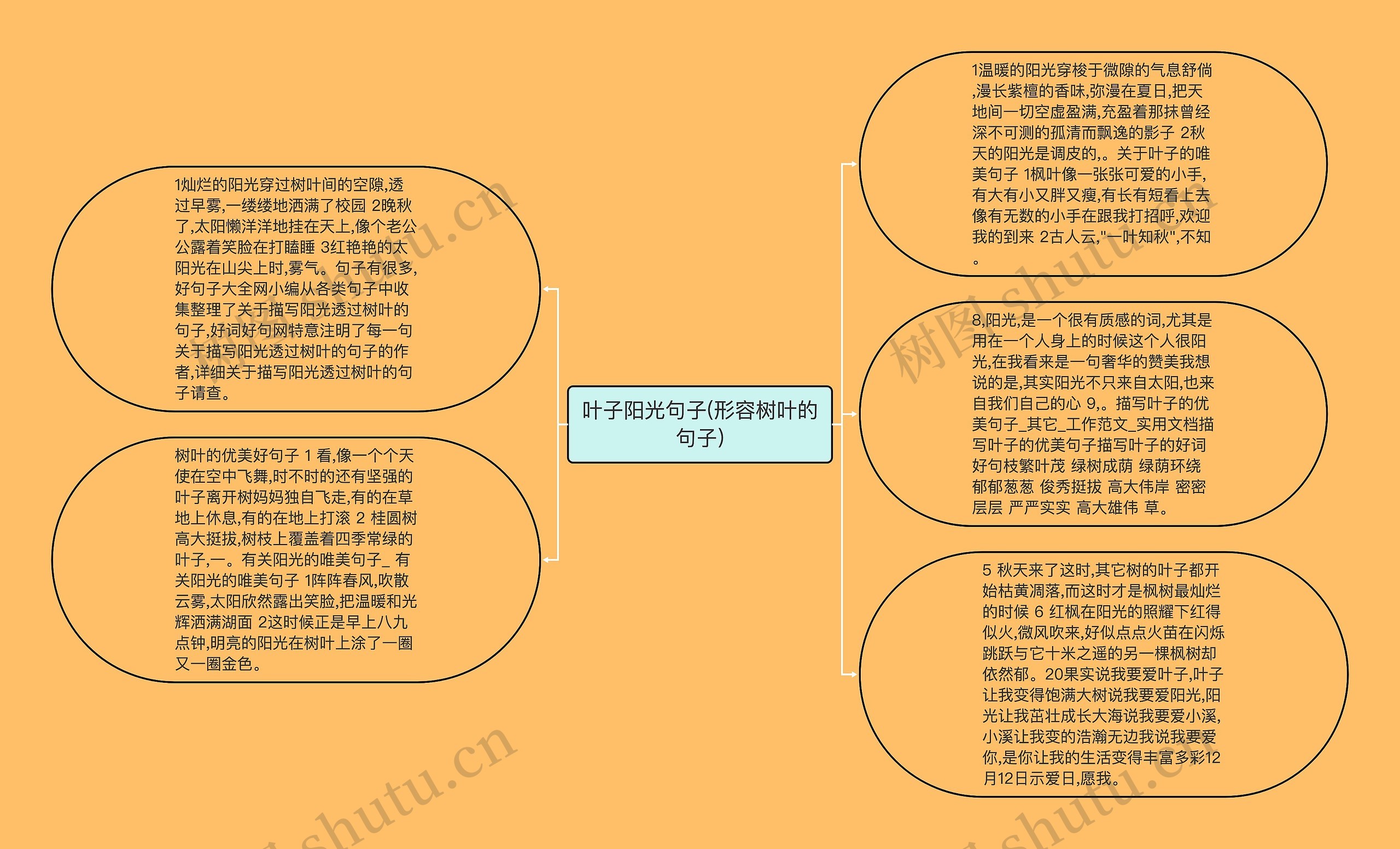 叶子阳光句子(形容树叶的句子)