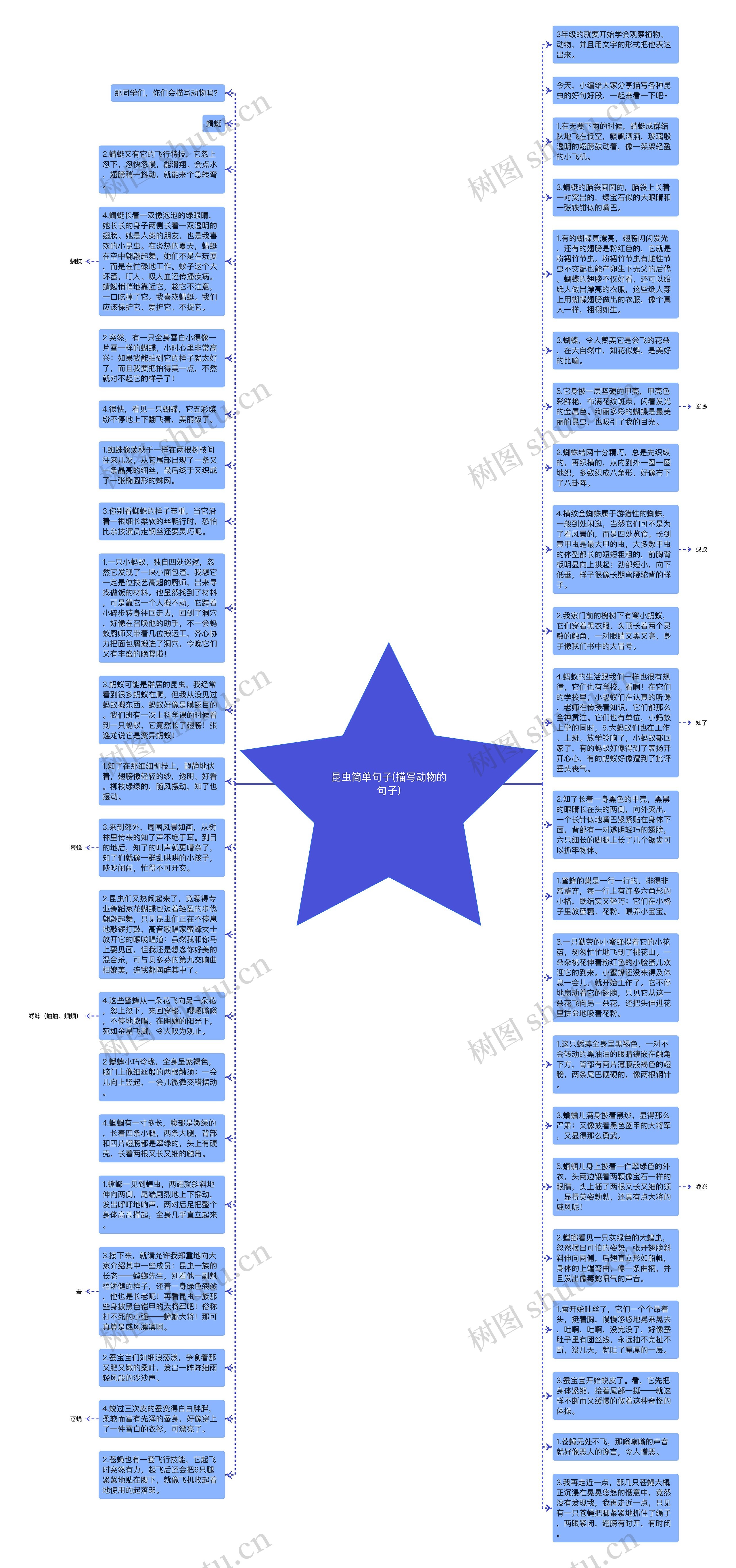 昆虫简单句子(描写动物的句子)思维导图