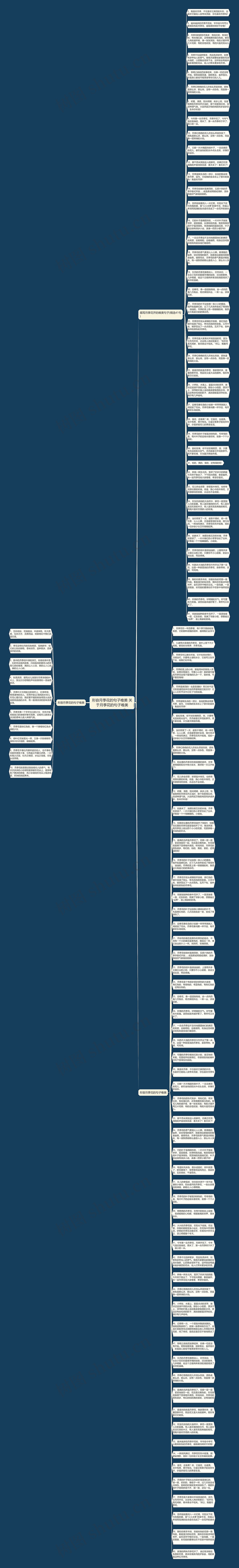 形容月季花的句子唯美 关于月季花的句子唯美思维导图高清图 形容月季花的句子唯美 关于月季花的句子唯美思维导图