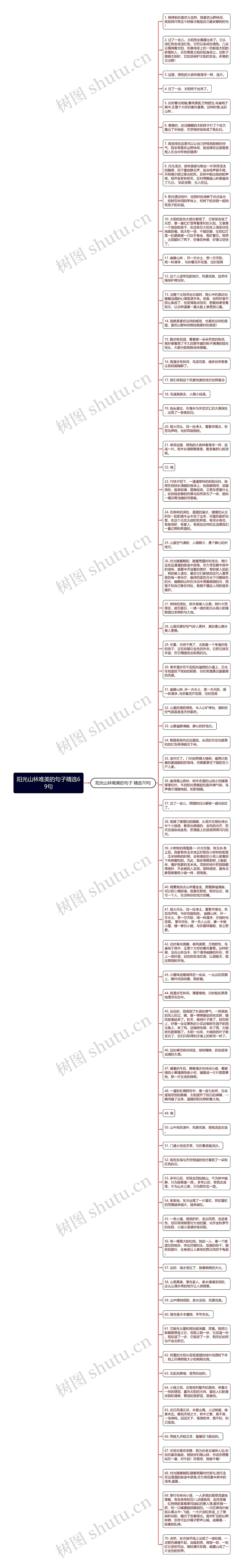 阳光山林唯美的句子精选69句