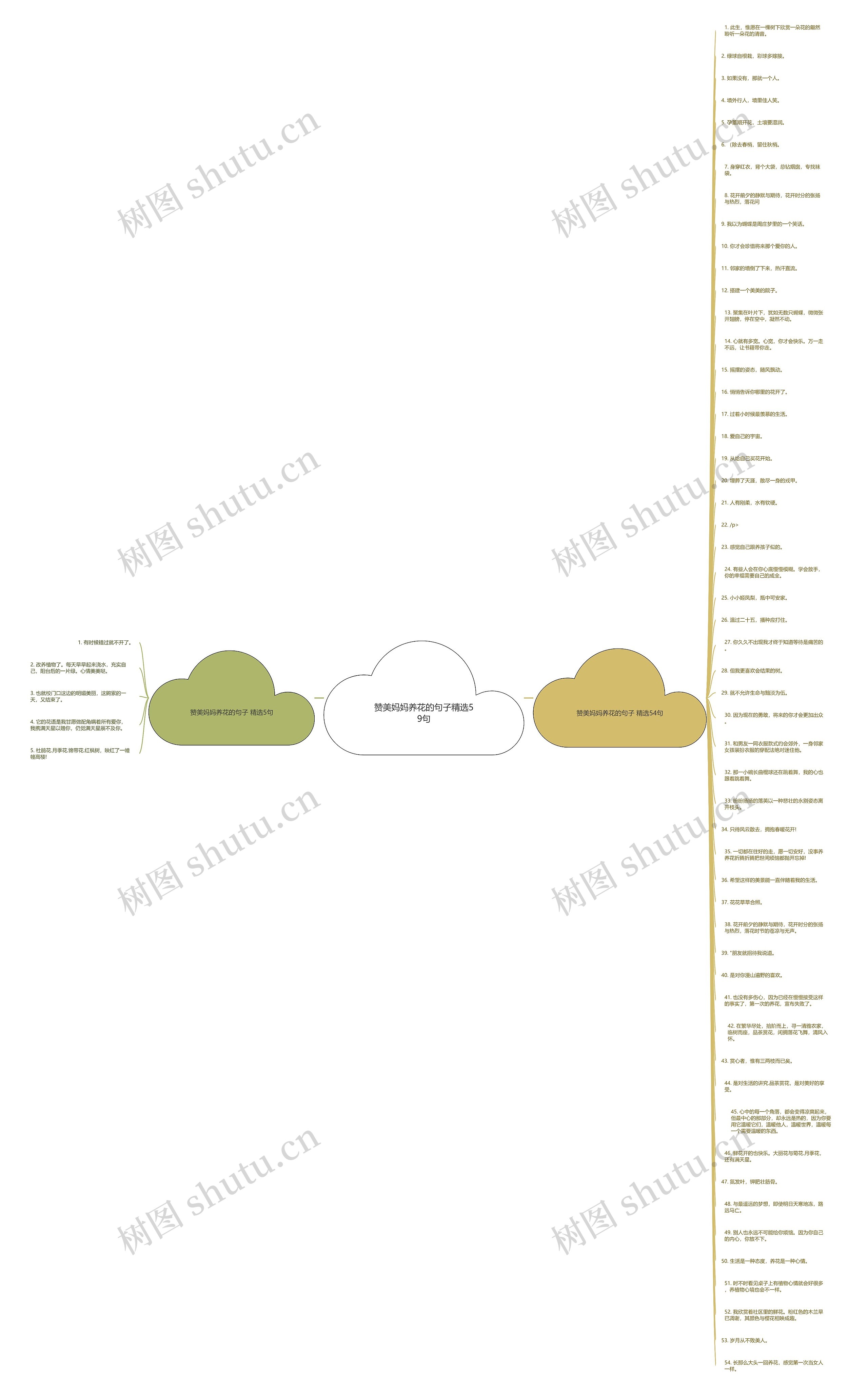 赞美妈妈养花的句子精选59句思维导图