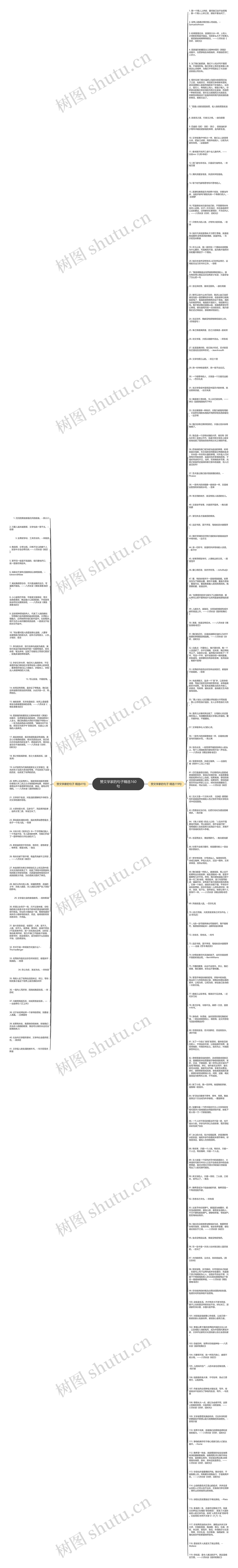 赞文学家的句子精选160句思维导图