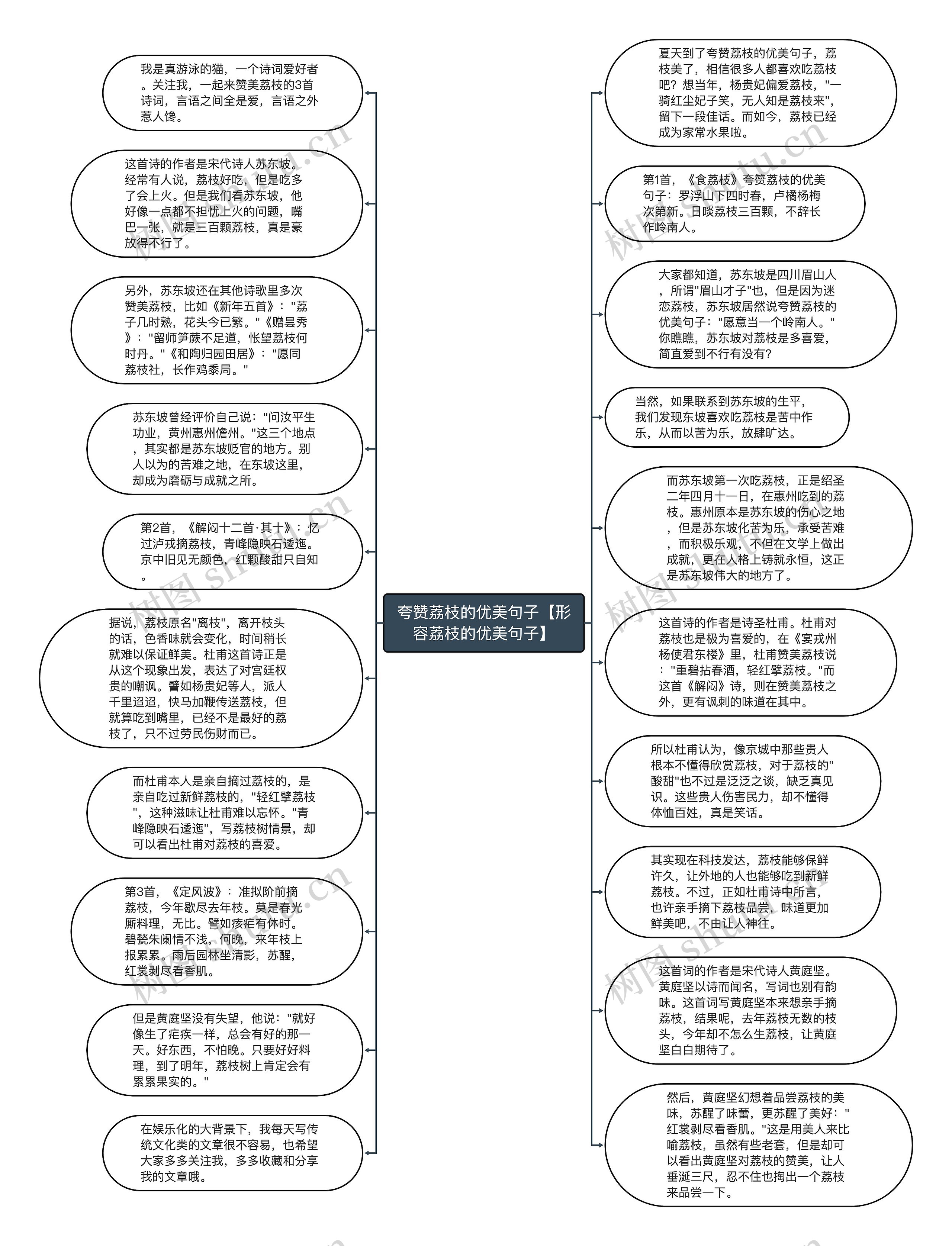 夸赞荔枝的优美句子【形容荔枝的优美句子】思维导图