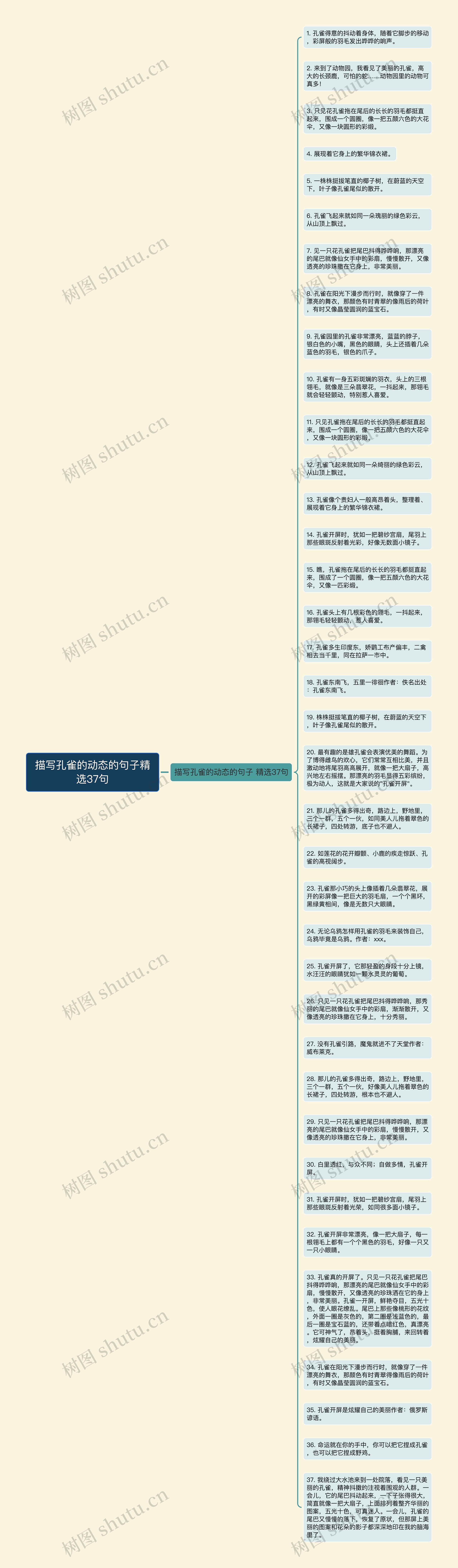 描写孔雀的动态的句子精选37句思维导图