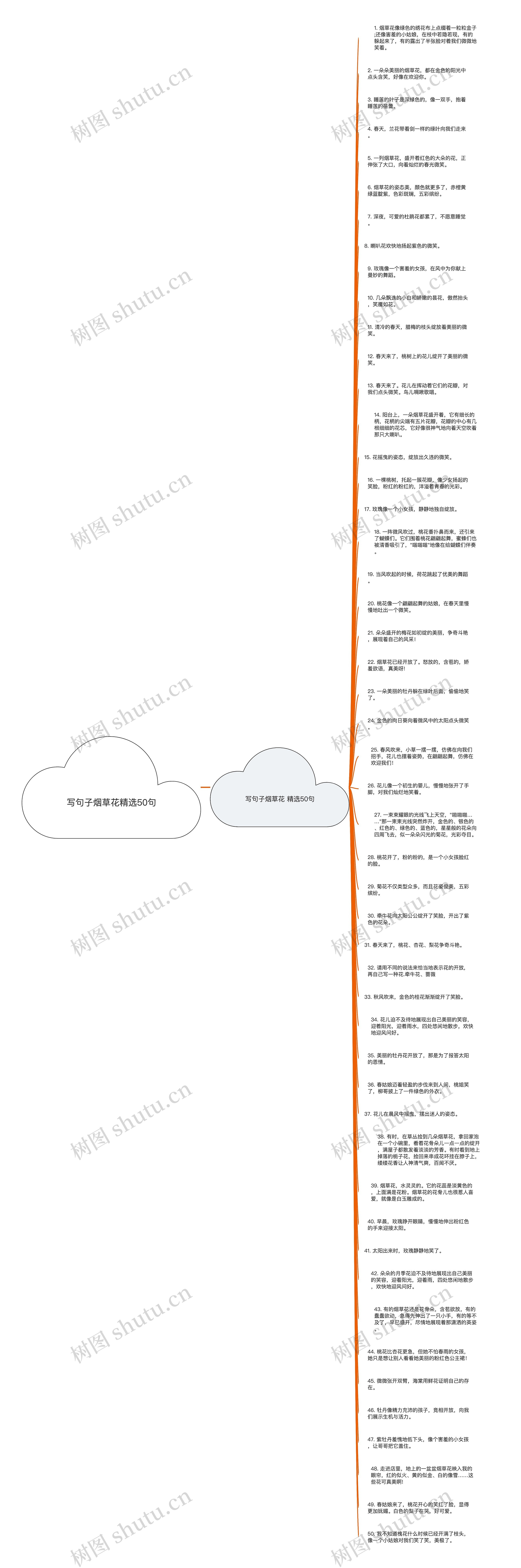 写句子烟草花精选50句思维导图