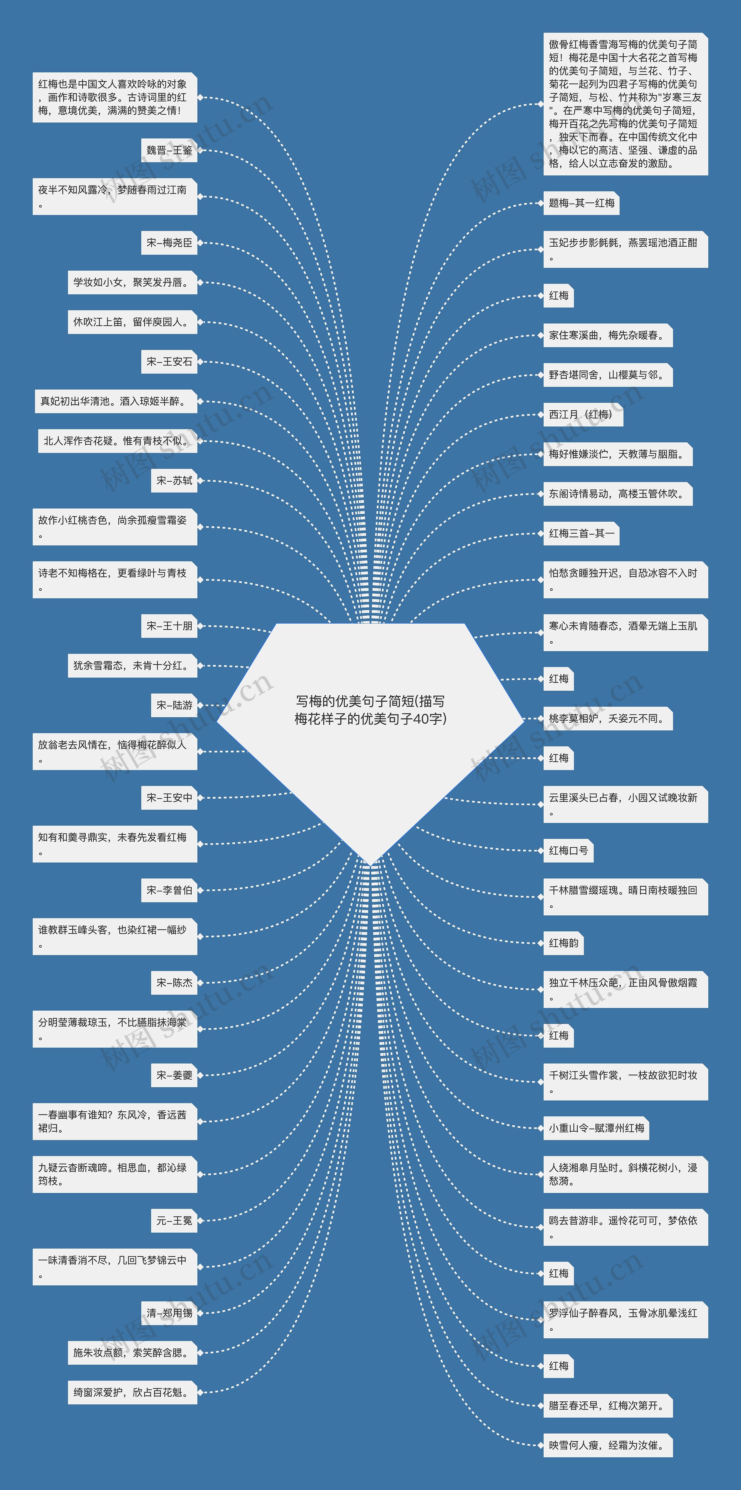 写梅的优美句子简短(描写梅花样子的优美句子40字)思维导图