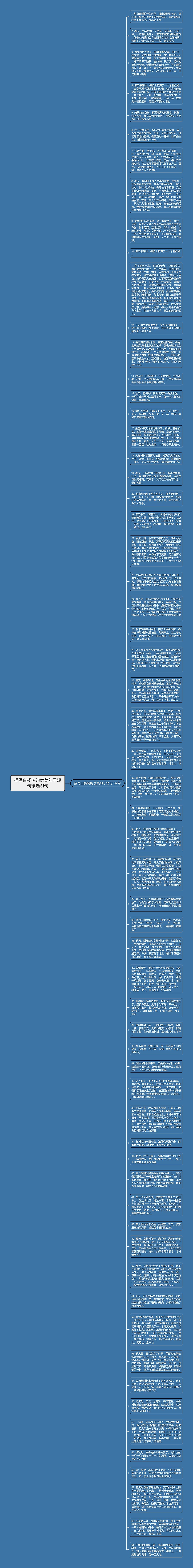 描写白杨树的优美句子短句精选61句