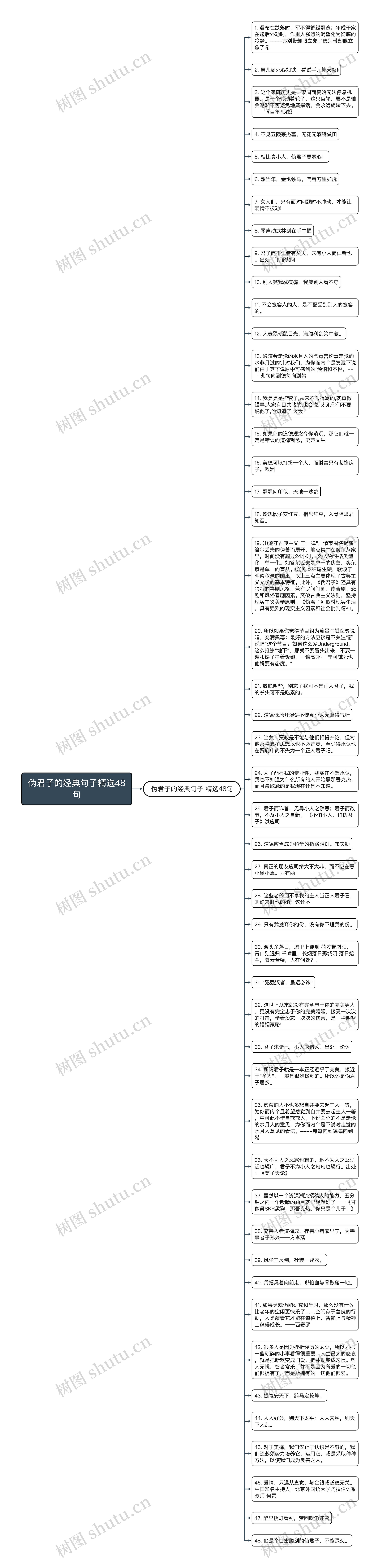 伪君子的经典句子精选48句思维导图