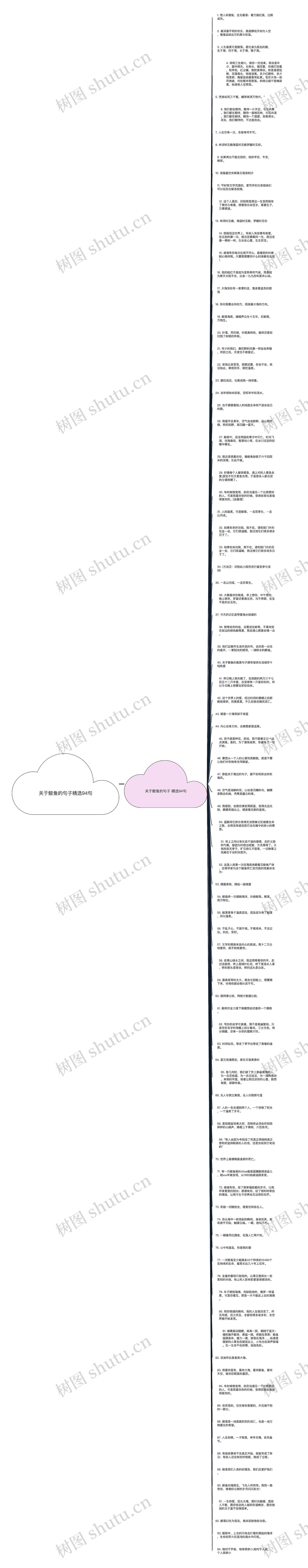 关于鲸鱼的句子精选94句思维导图