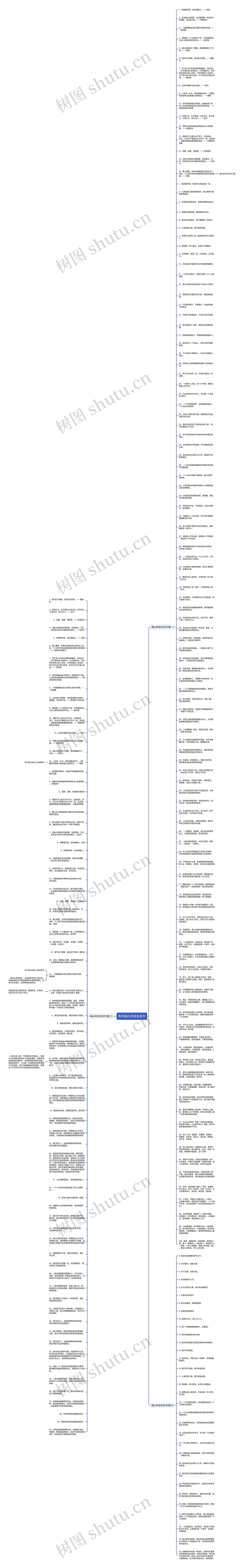 有关细心的名言名句思维导图