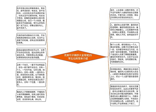 优美句子摘抄大全简短25字左右的简单介绍