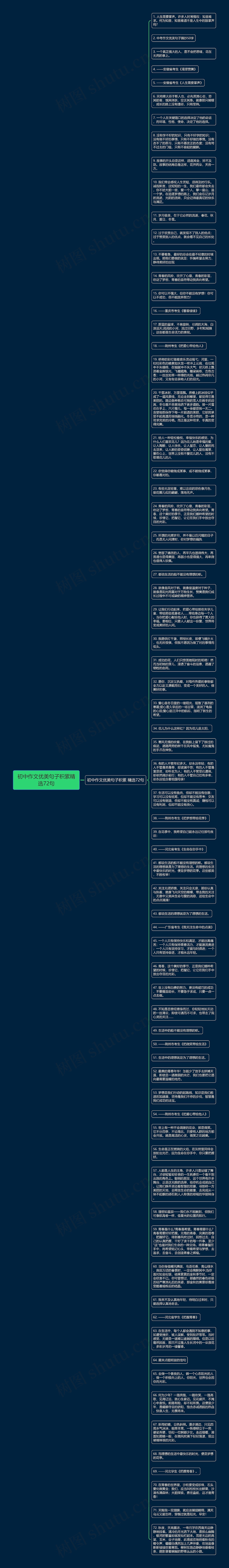 初中作文优美句子积累精选72句思维导图