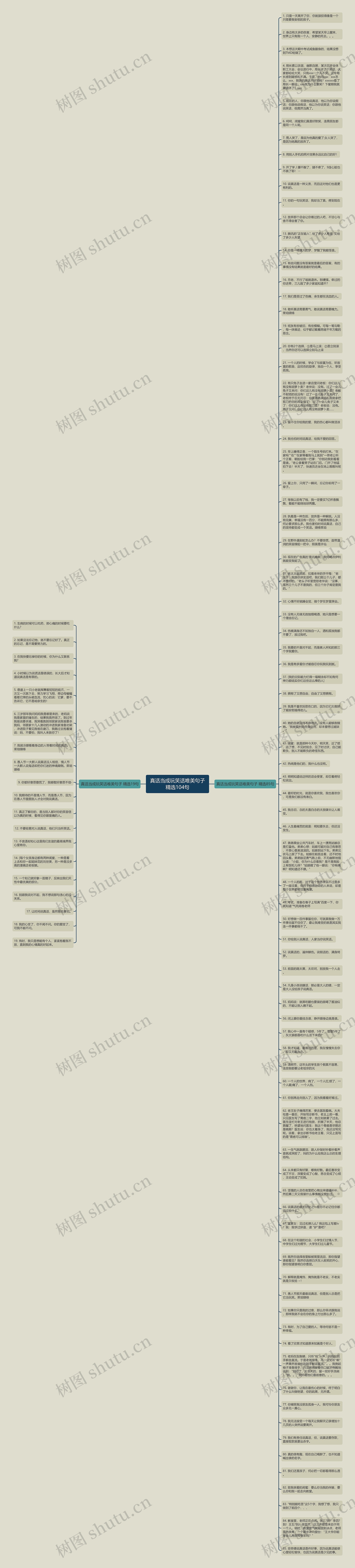 真话当成玩笑话唯美句子精选104句思维导图